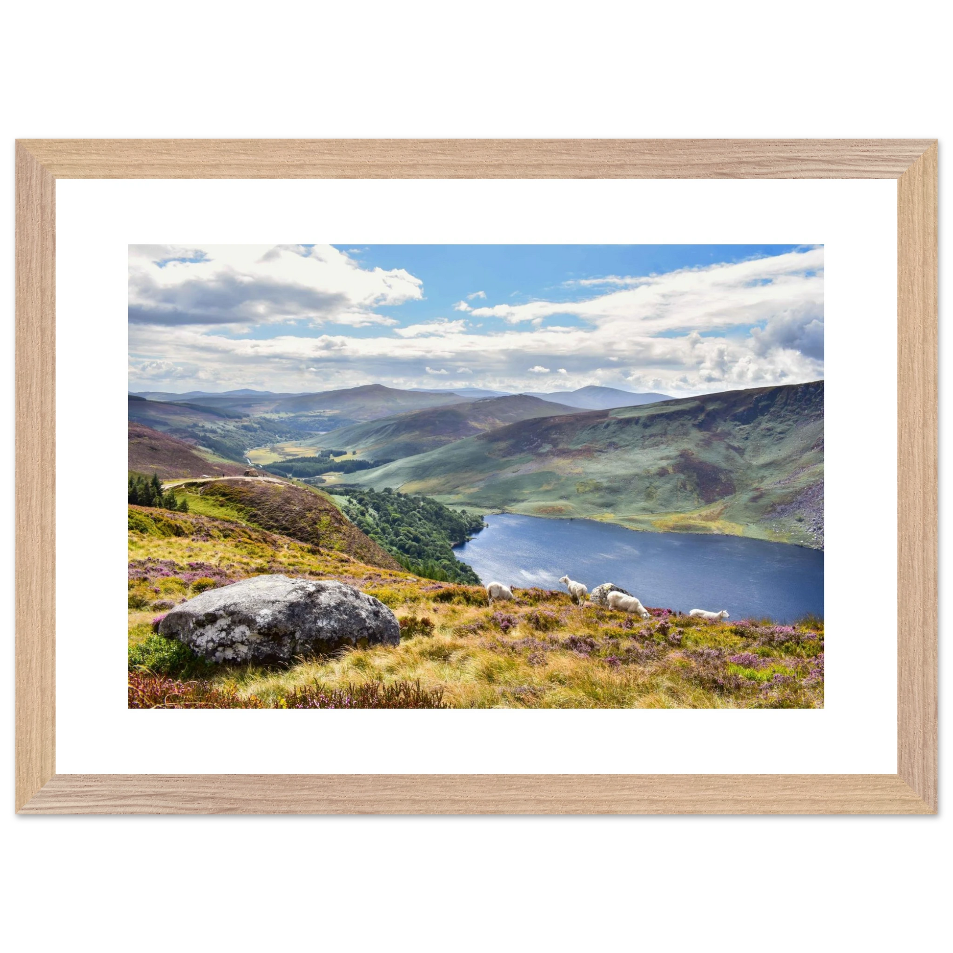 2ae8b19a-b904-437d-b0a7-d1e9a84019a6