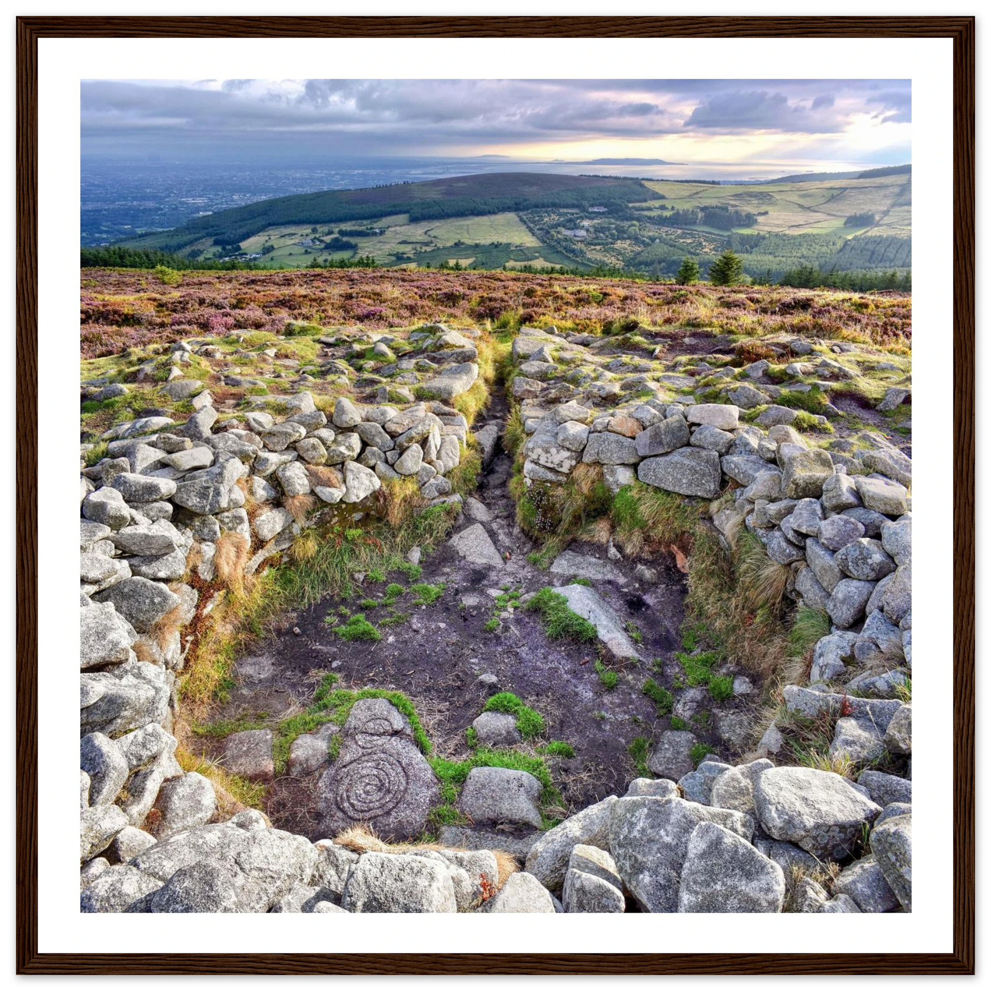 2b2673b2-ed40-4433-bec1-0cce3f8ebbff