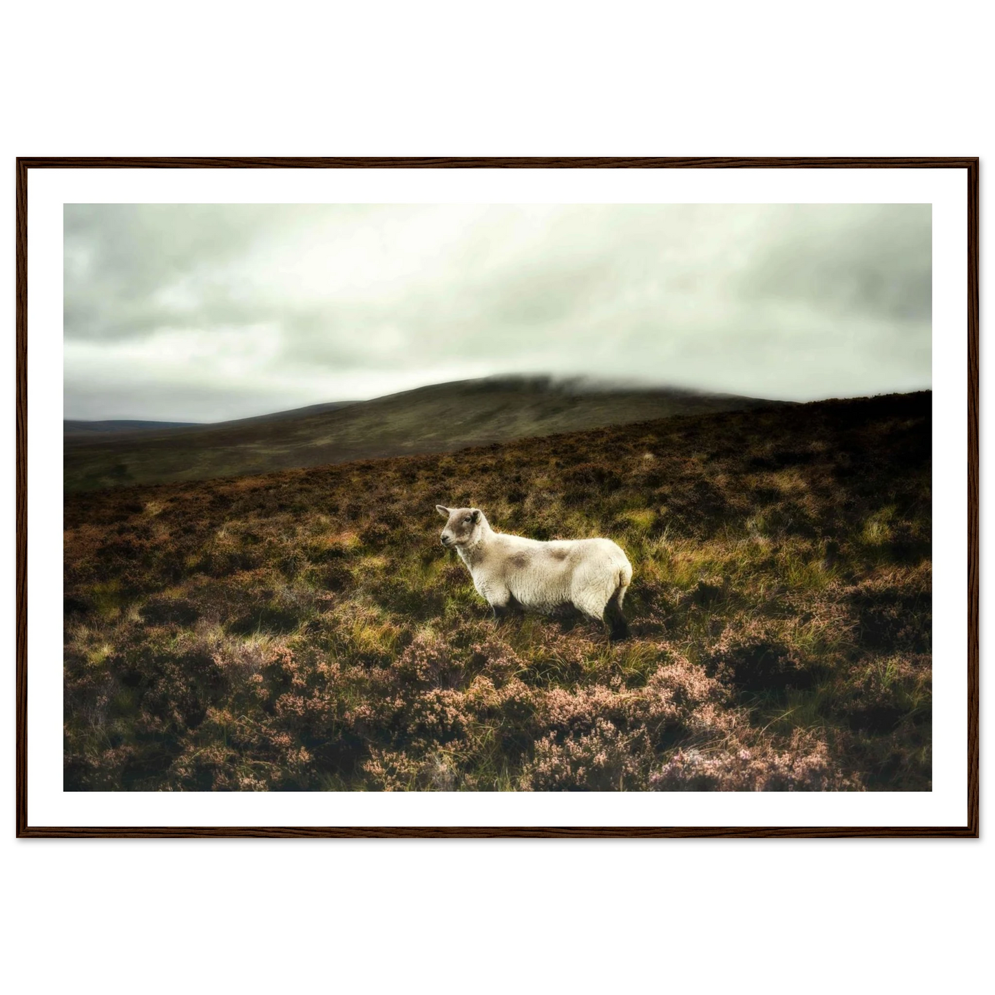 2b58349a-715b-4f2e-b522-e89bed6c21d9