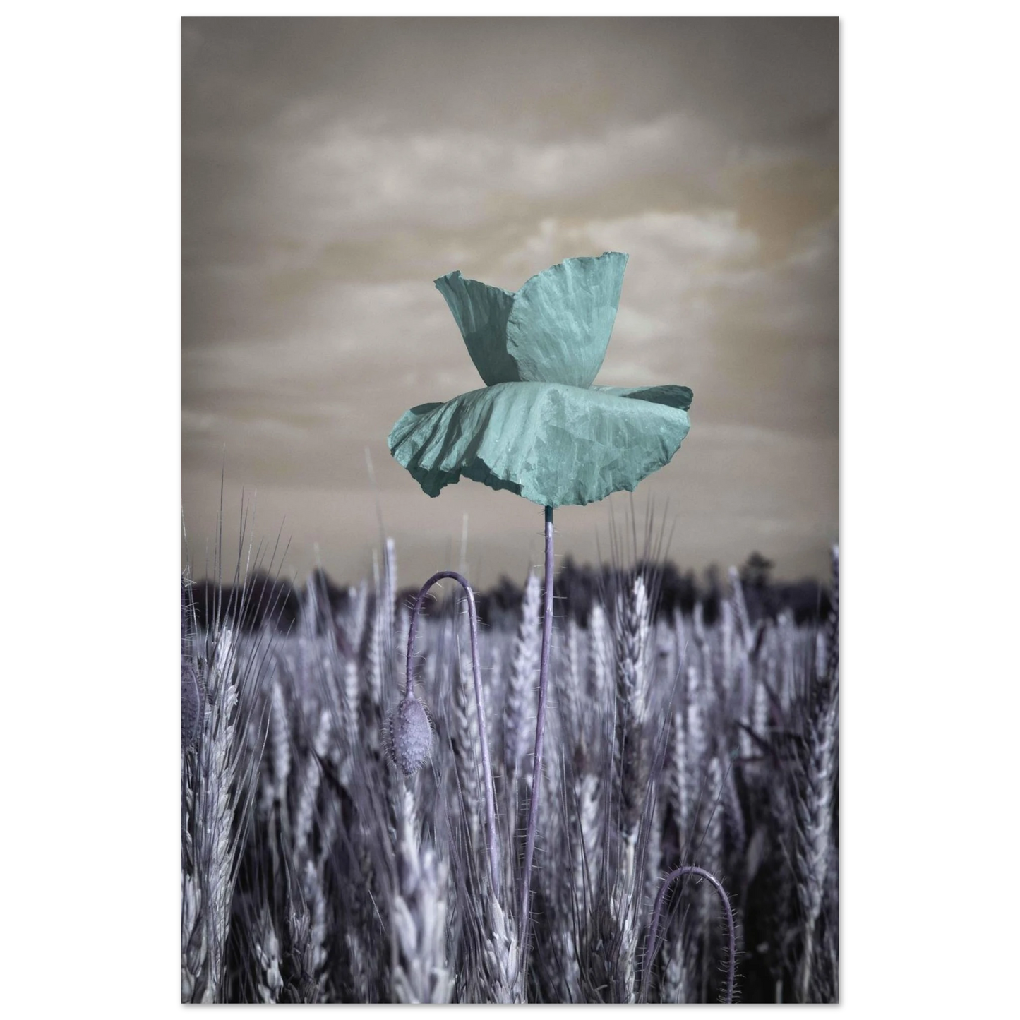 2bf64d75-62e3-4af9-be3d-1d730bdfa02d