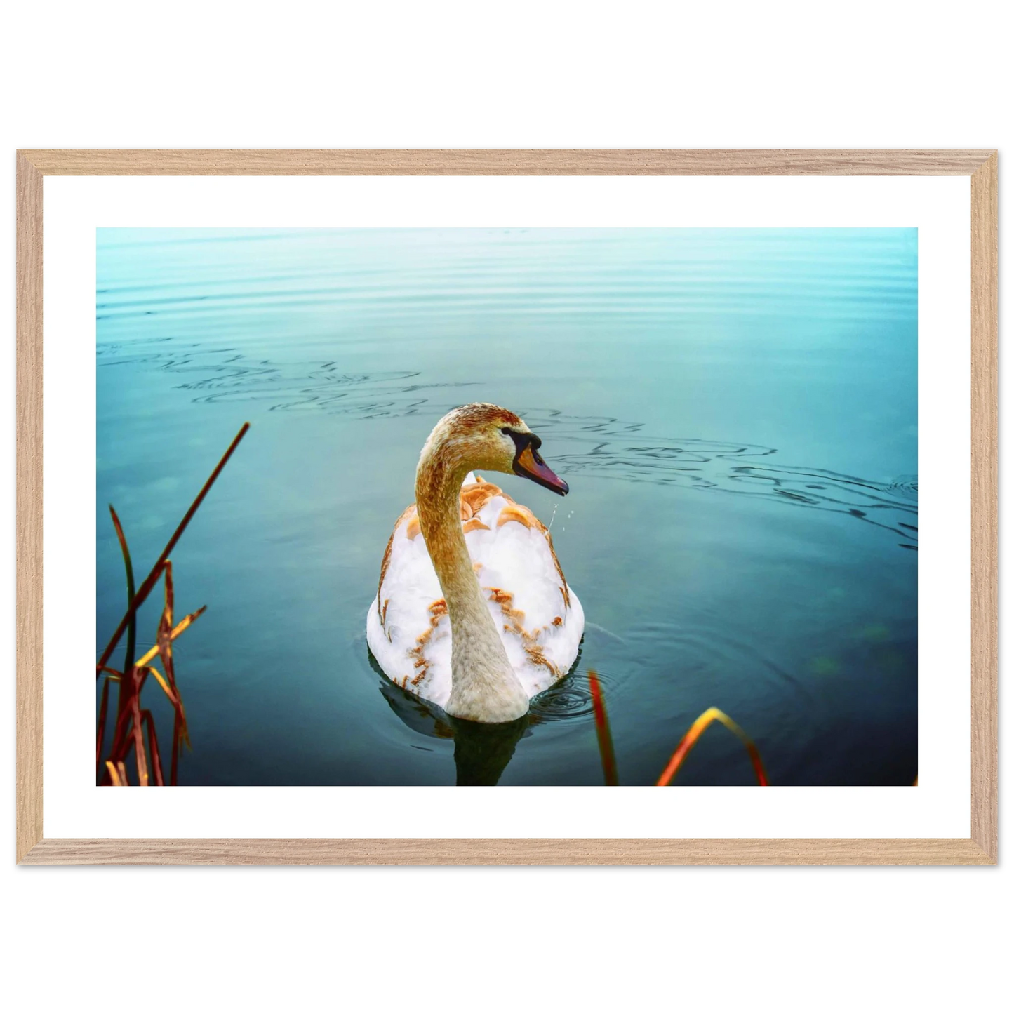 2c0d1799-dd6e-473f-93f0-55300645d153