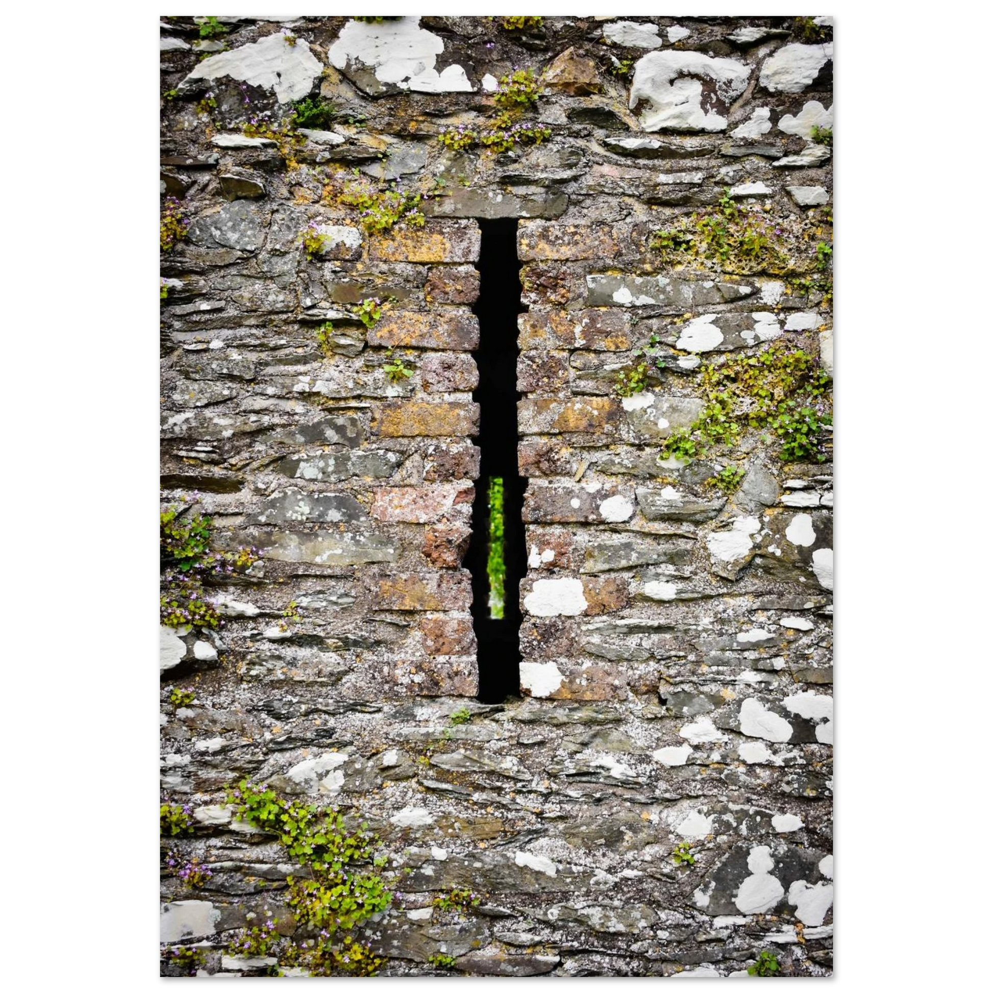 2c48f6b0-36c3-48b8-9ffe-52cea9f53c67