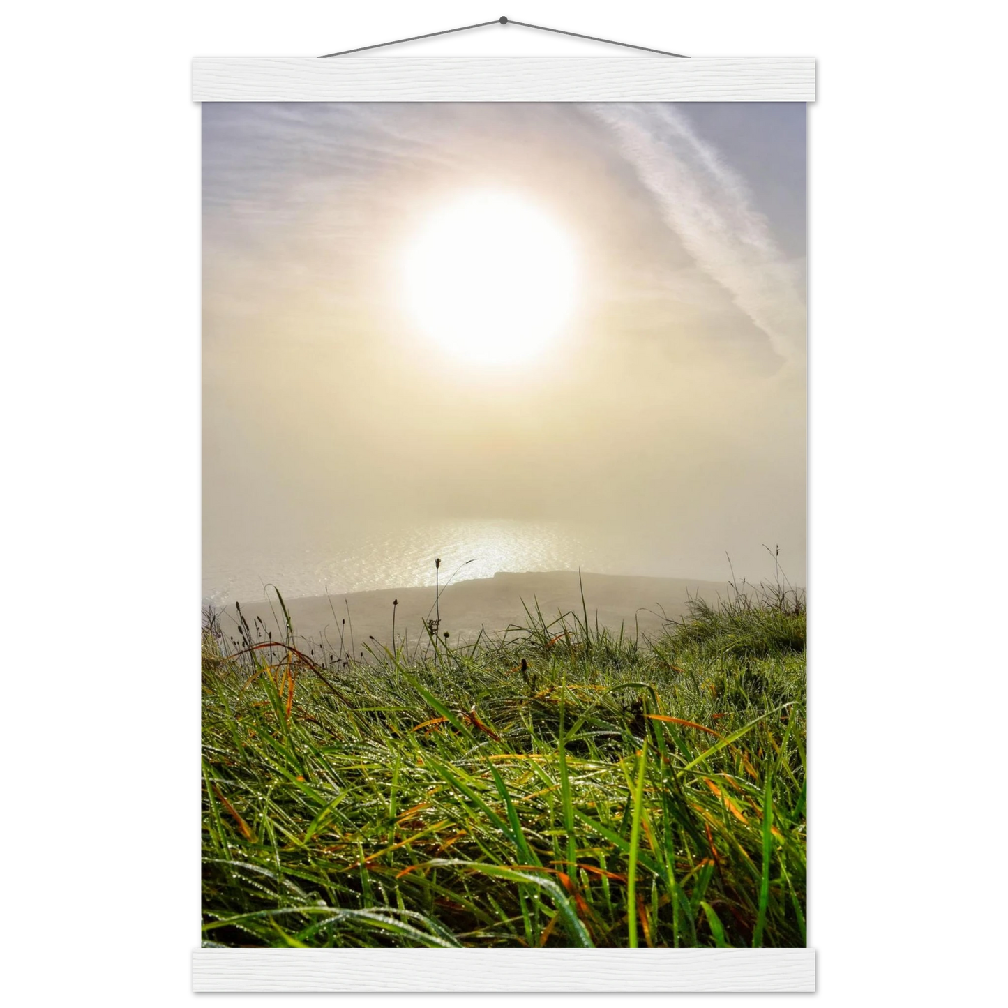 2cb32911-8c44-44d1-becd-b937c2c7104f