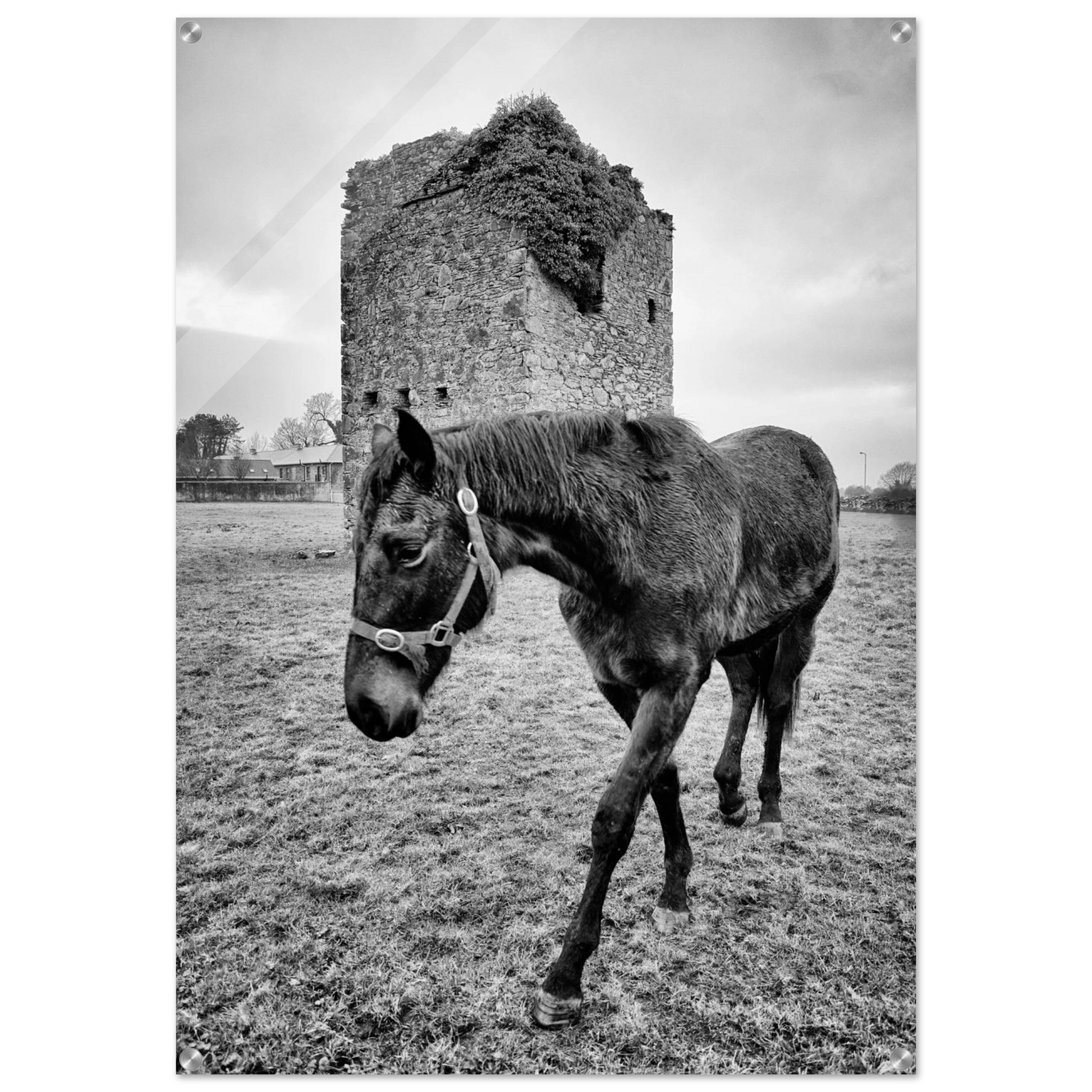 2cf9e09c-6102-4de7-a6d4-08ac2a5091ef