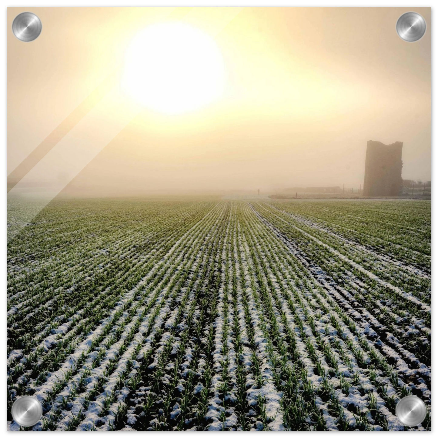 2da19443-0891-4fc4-b0a7-ff7e75a600aa