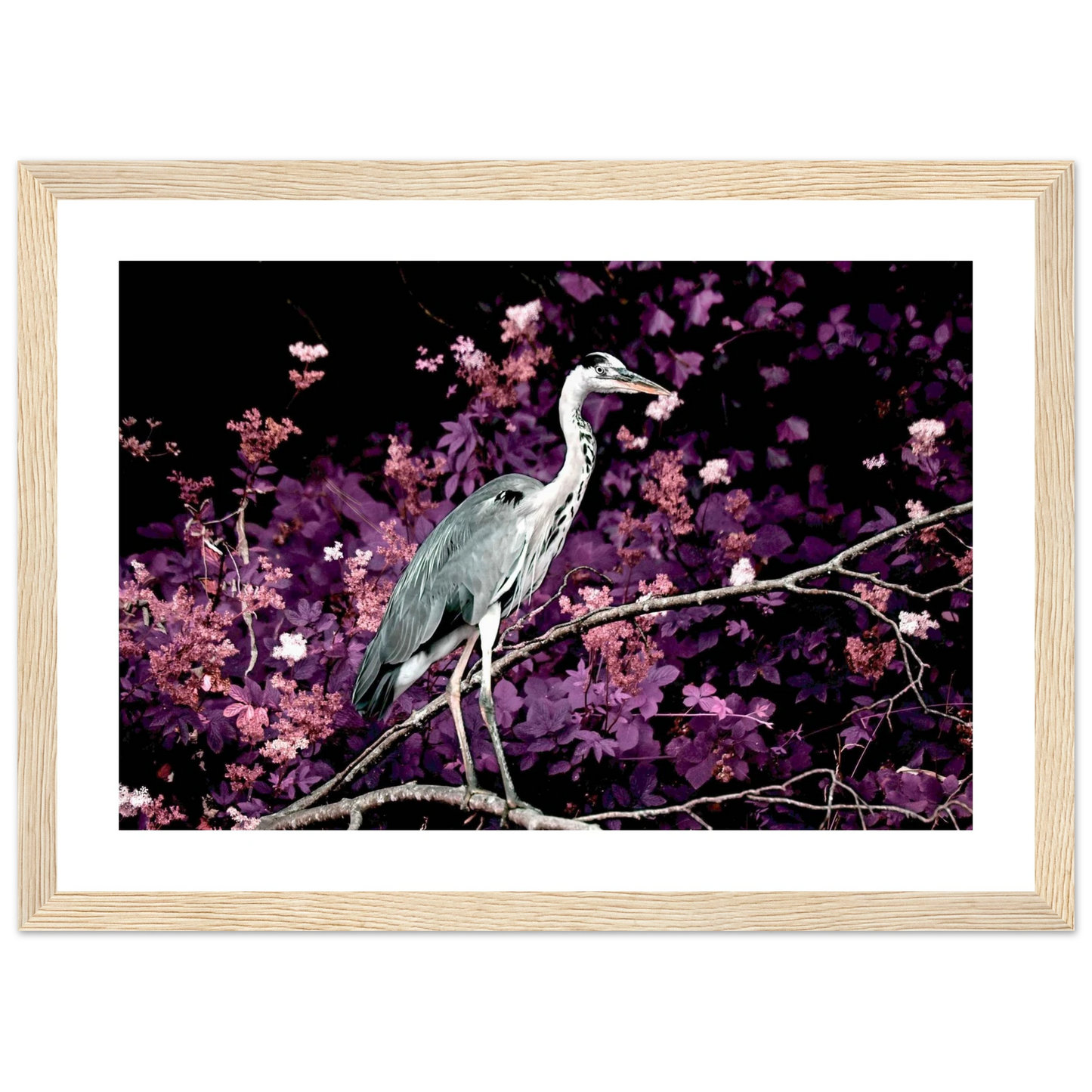 2e272dec-f368-42b1-b501-2b0a06c58ebb