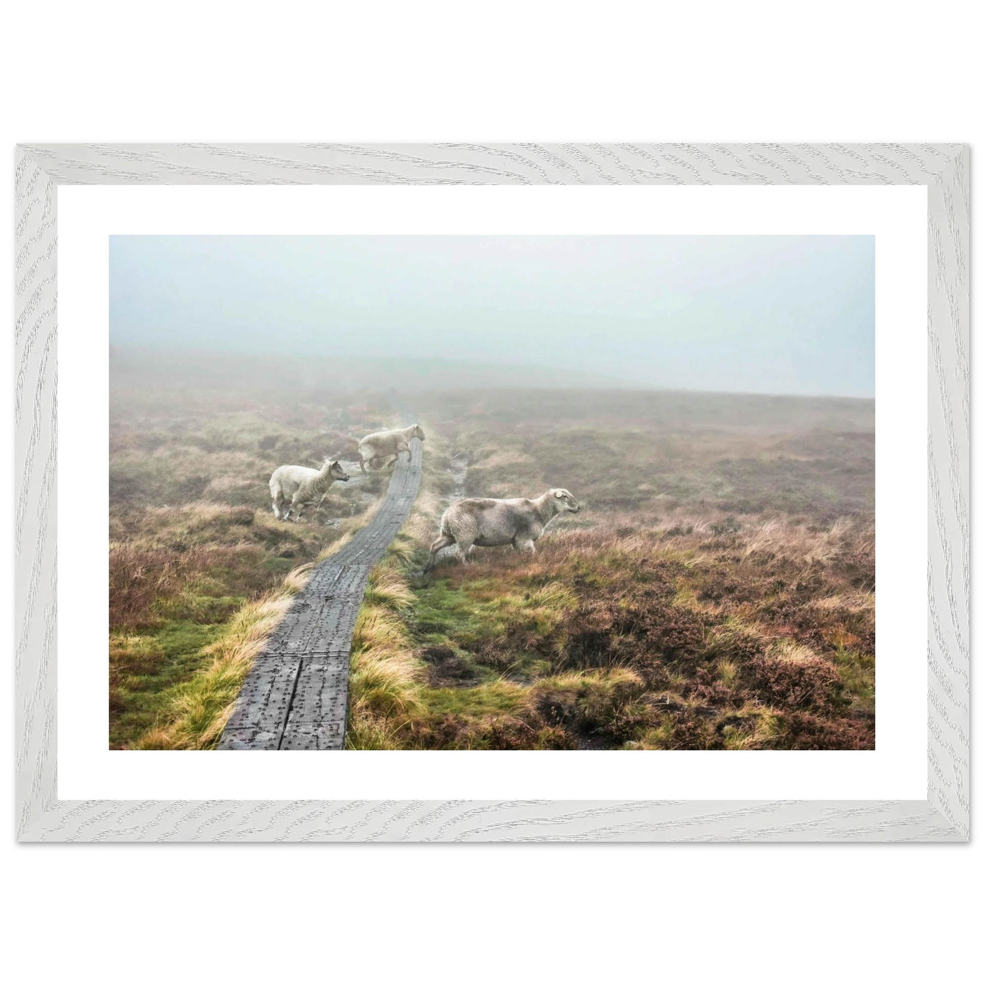 2e52de78-c577-4ee3-adfb-11636fca08c4