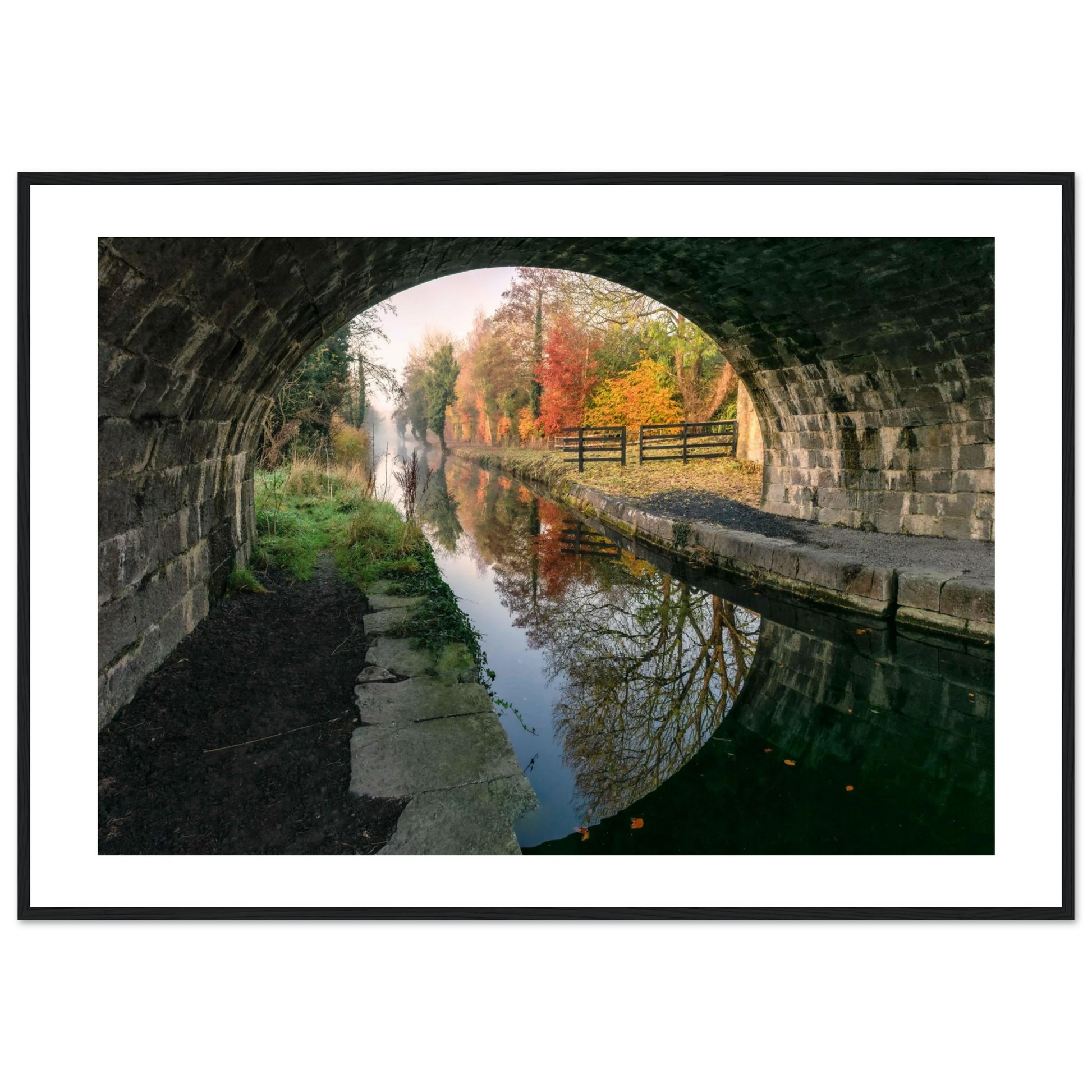 2e619d77-9c75-4a20-985b-20016c47a9e0