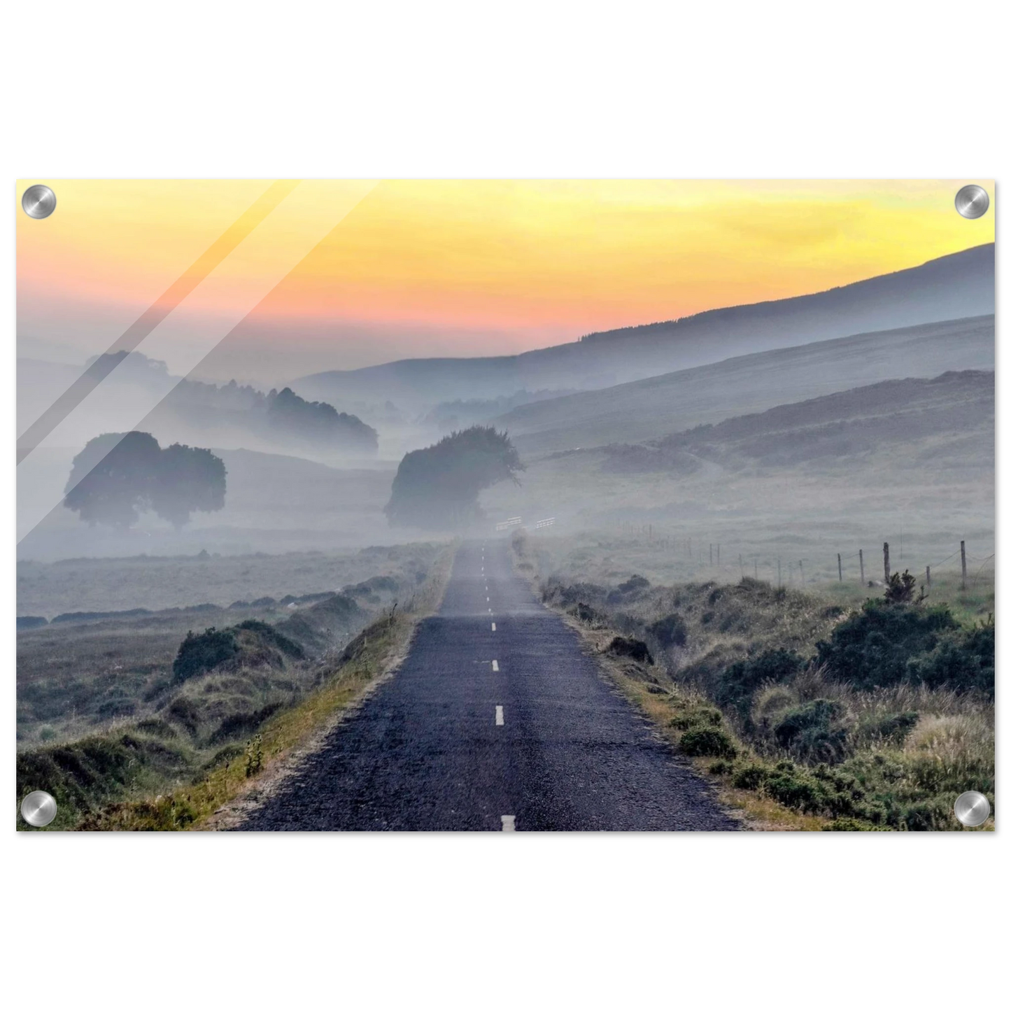 2e86fffa-cc3c-412b-962d-c7050ccb0ca9