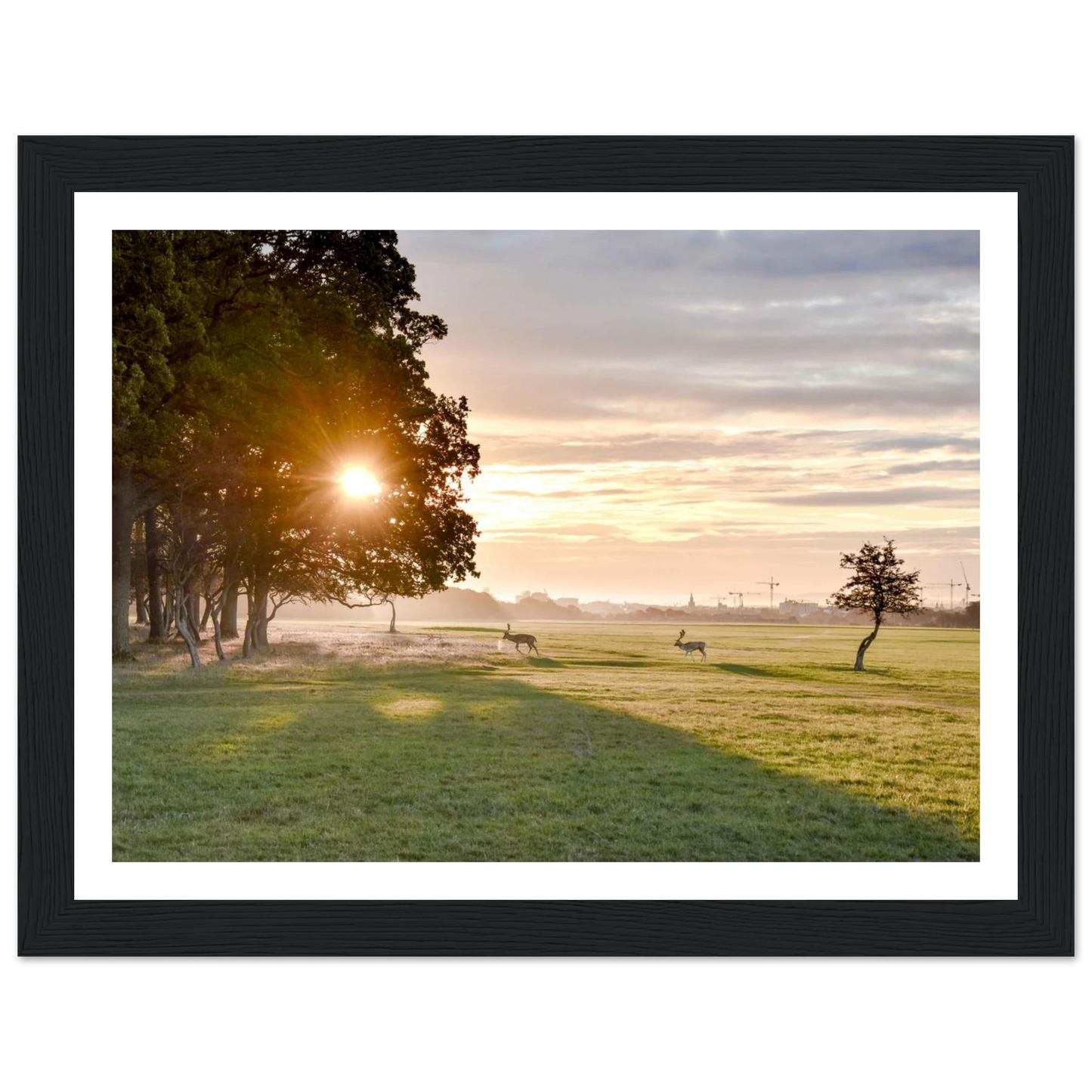 2ed63be0-76b5-4a45-aaef-6a0d4e232923