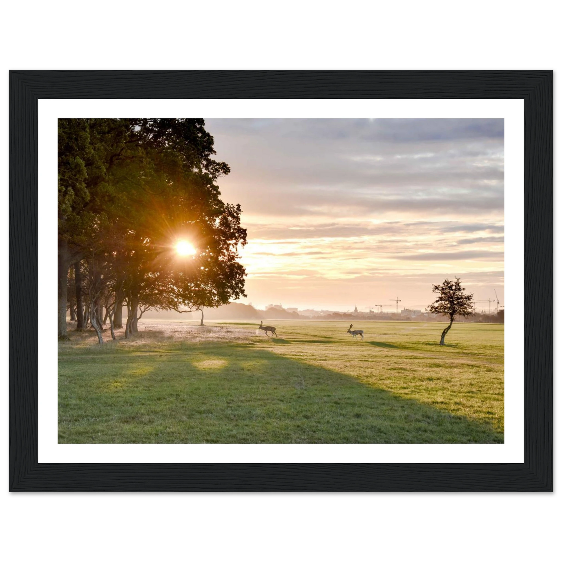 2ed63be0-76b5-4a45-aaef-6a0d4e232923