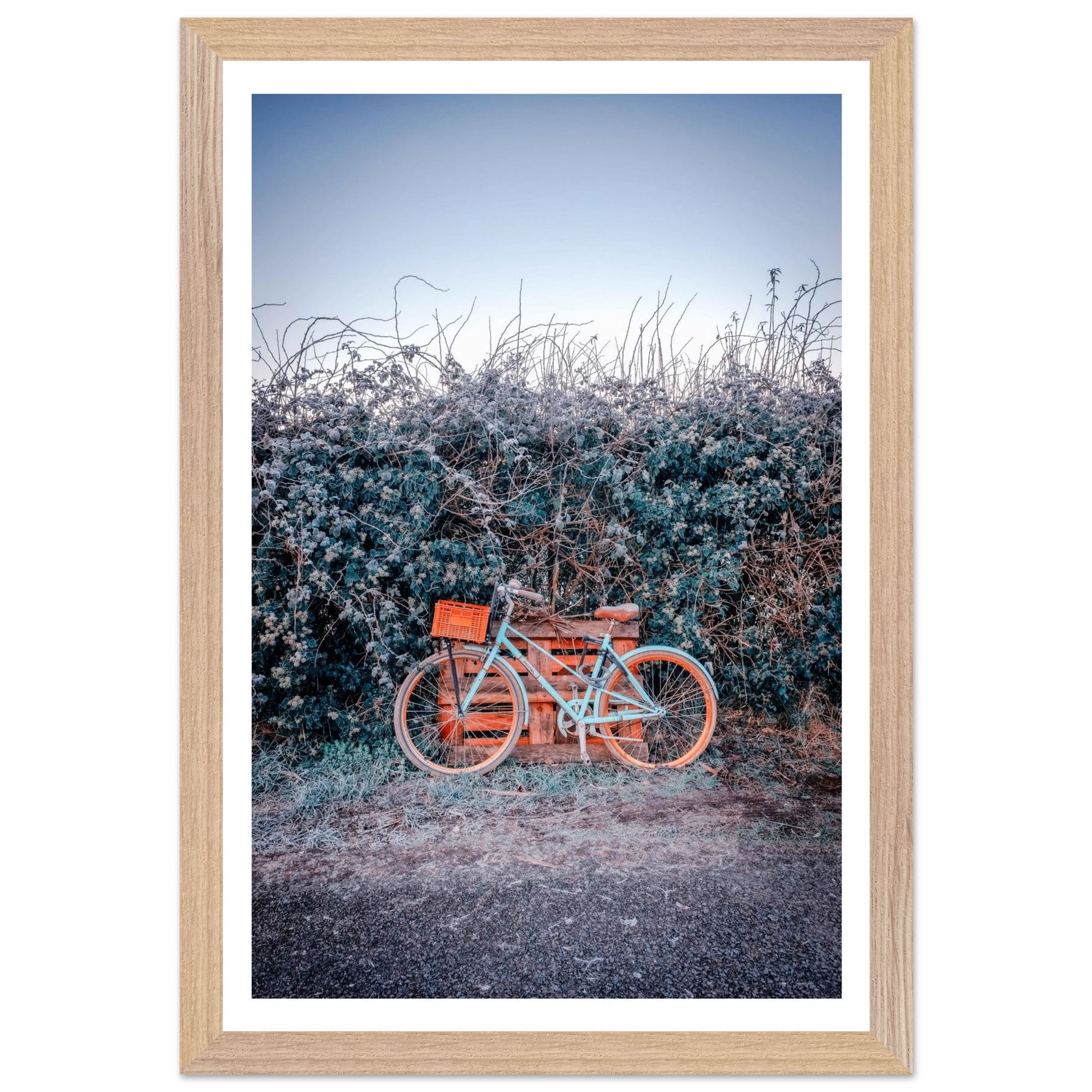 2f2ba8d4-93b3-4a1a-b7aa-efe4edb3f759