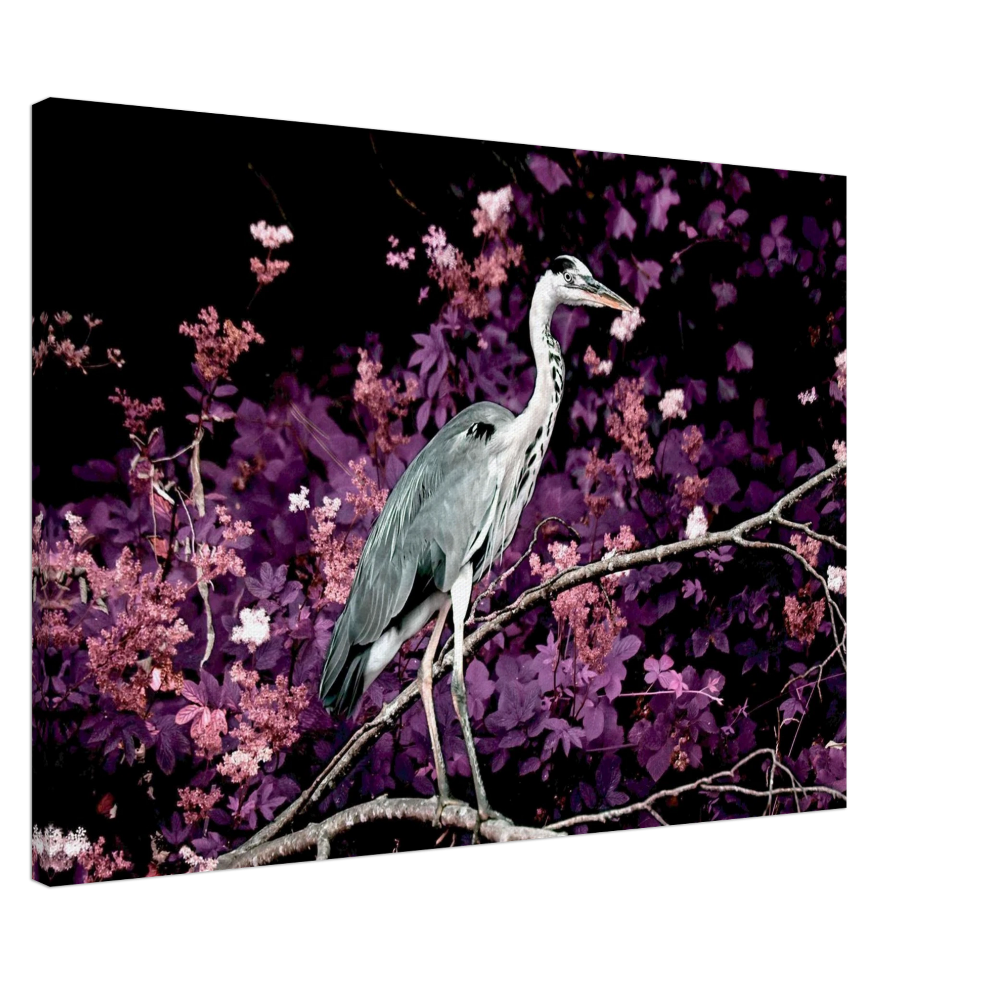 2f2ee87f-363a-4f13-929a-dcaa89c3d0a9