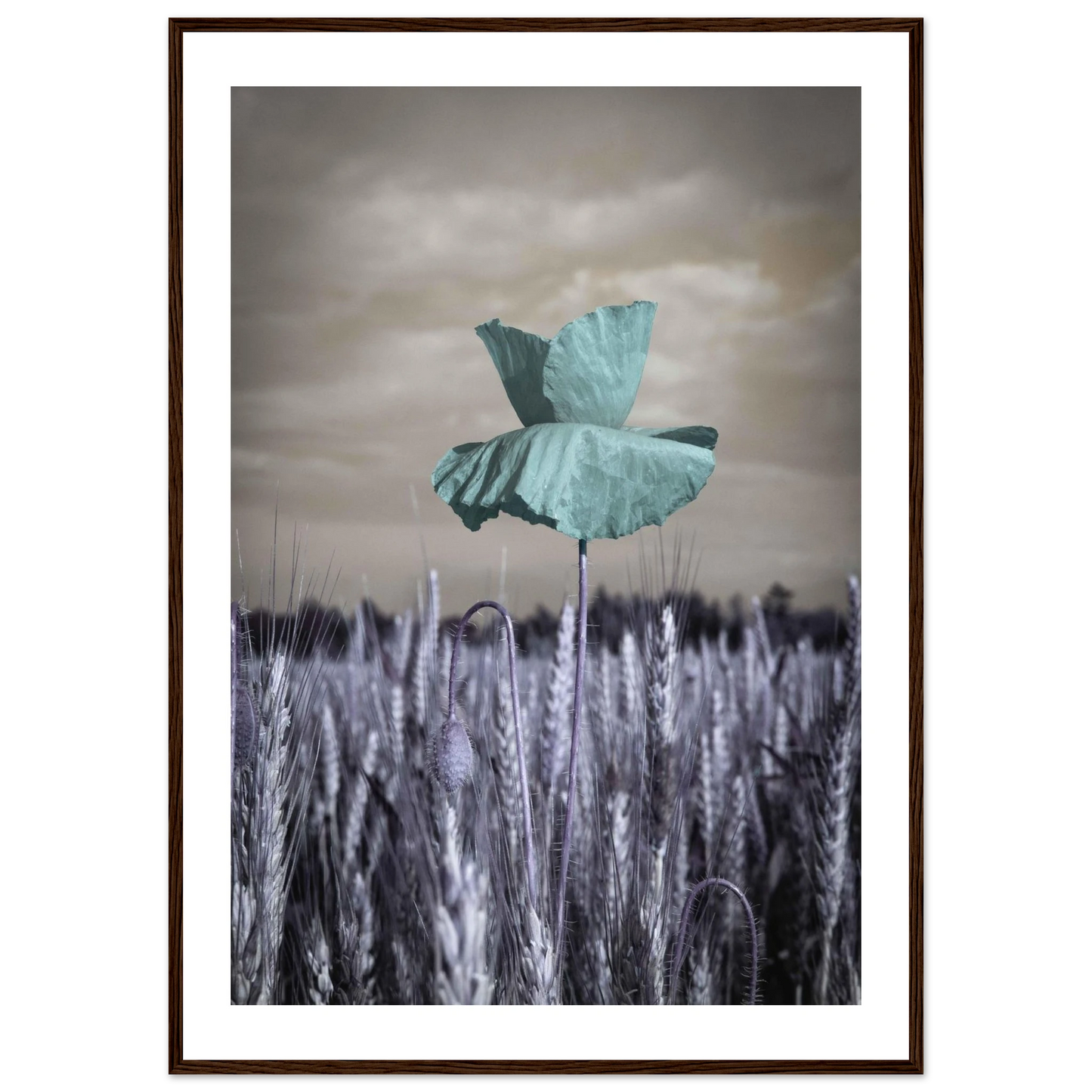 2f7e8fdc-87b8-43bf-95db-e5726e1e185d