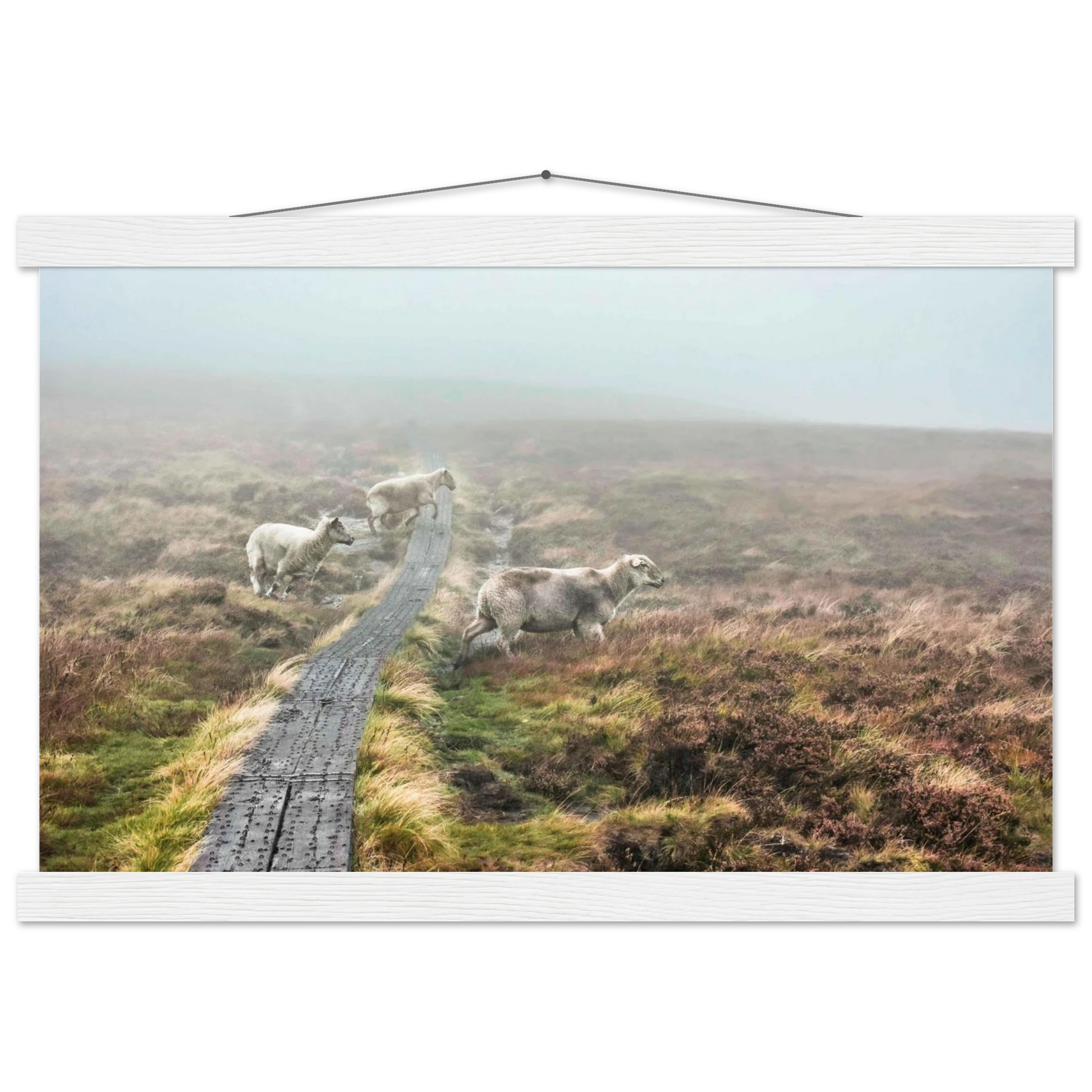 2fd12a49-2fb4-4203-97a5-49b7c306fb1e