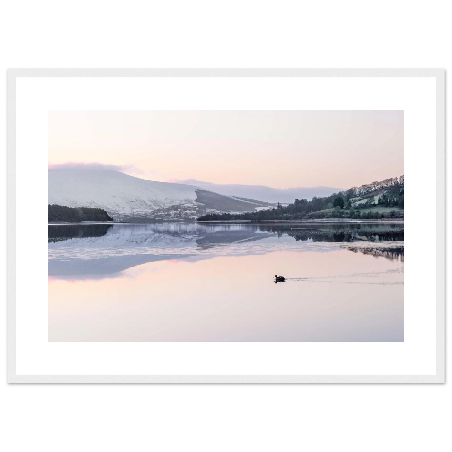 2fed72c1-cfb8-40ba-abeb-4ecd5f463a20