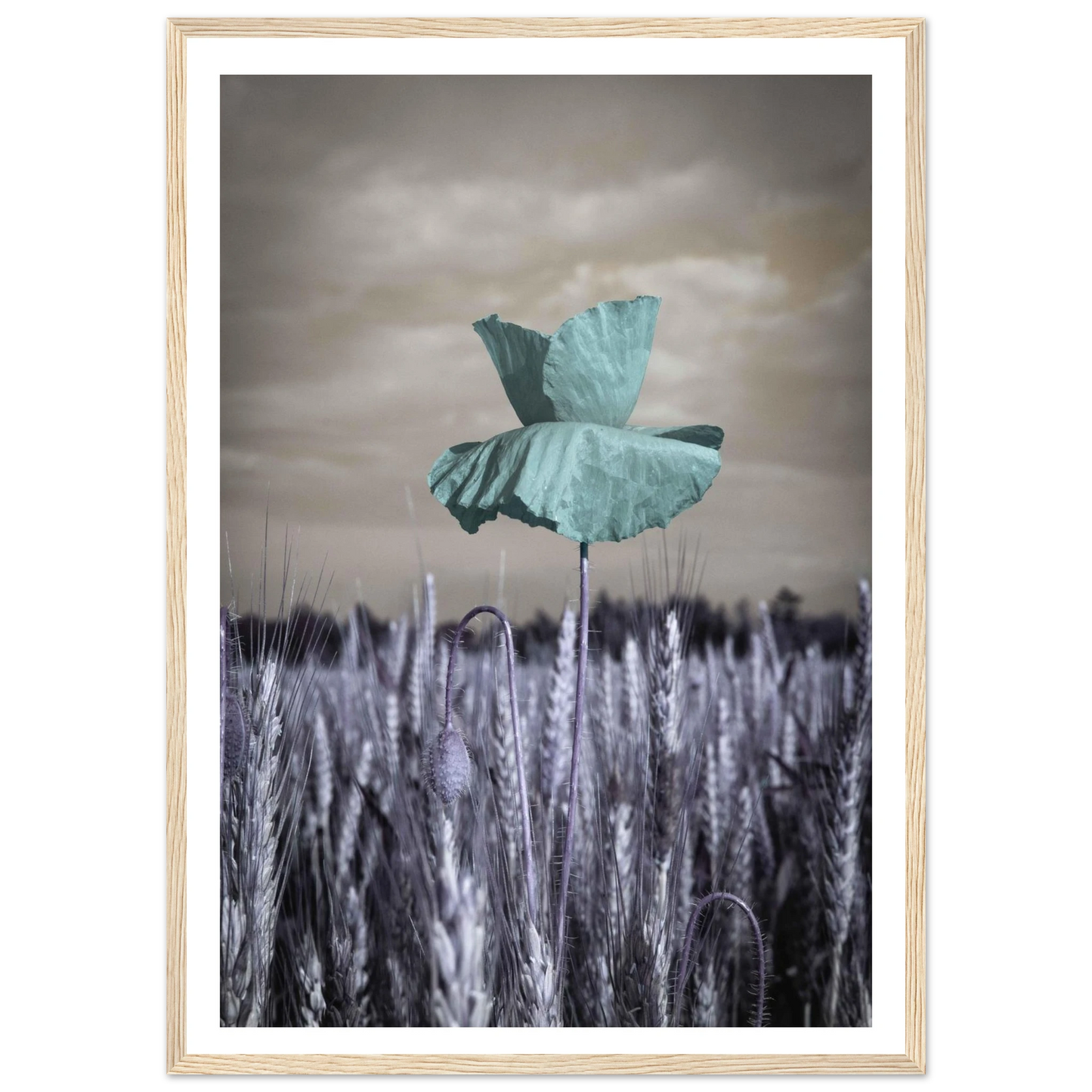 30aee0d3-818b-469e-82c9-d615bc22eb78