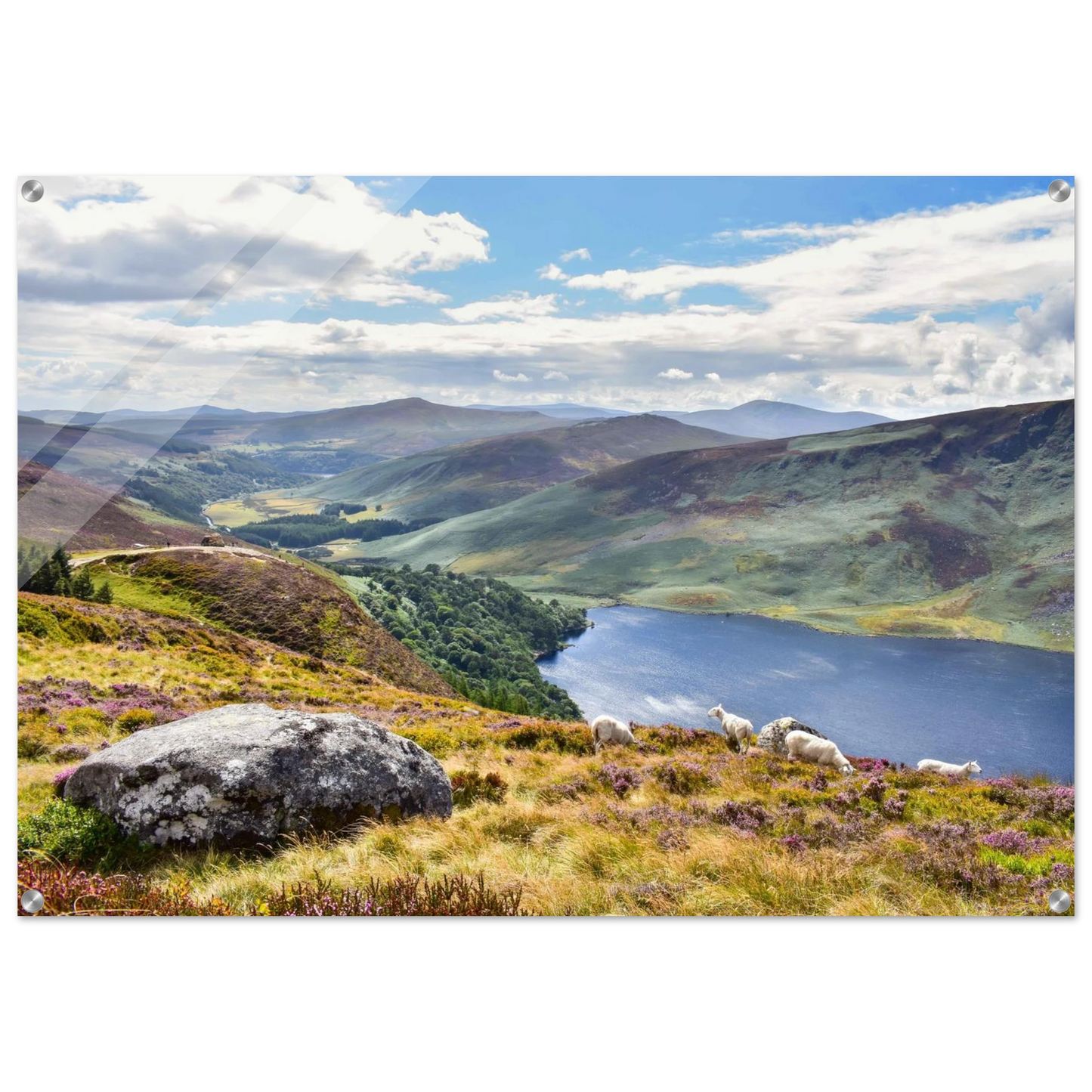 30cf17e3-c6f3-4c92-b1ce-89ffa35c37f1