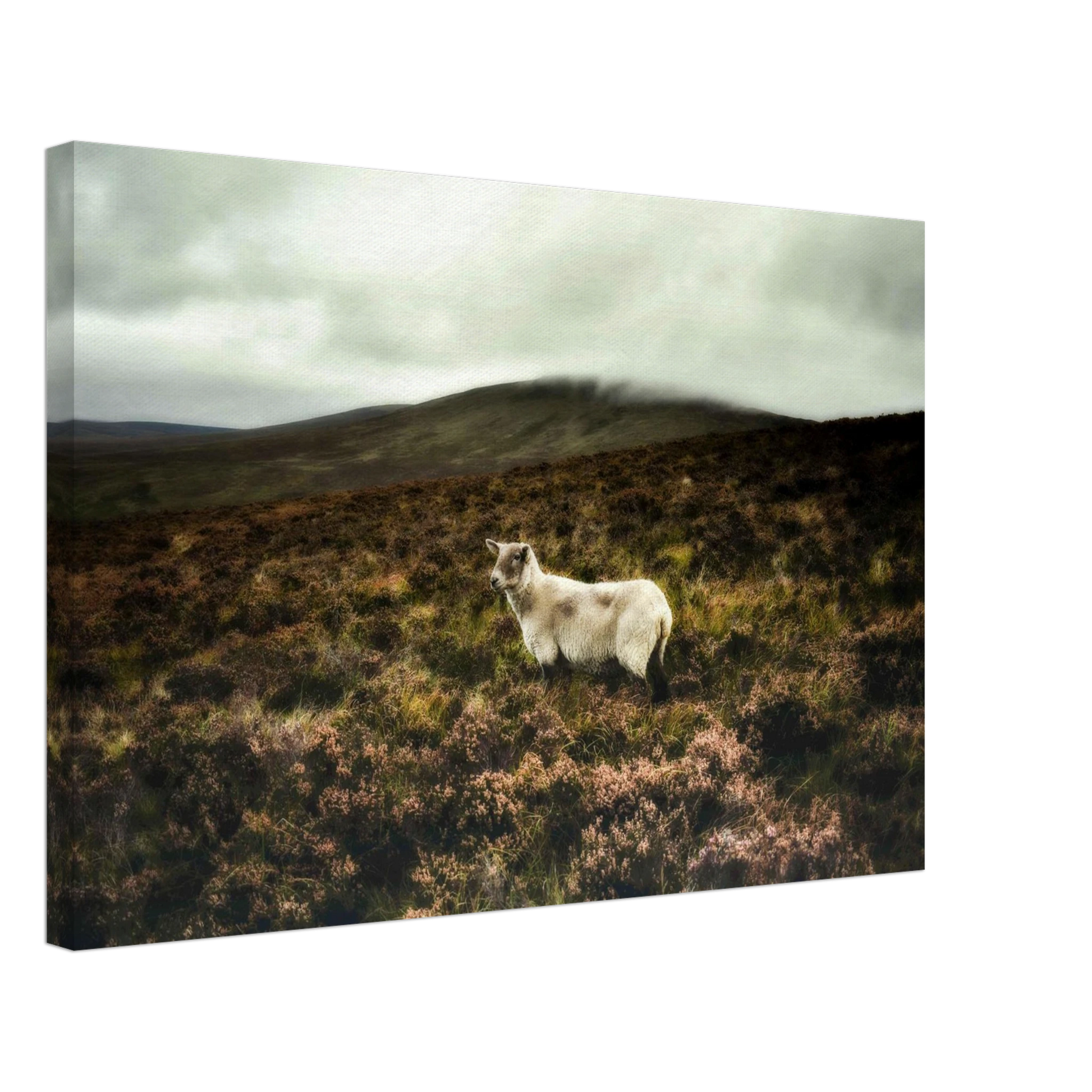 30e451b7-4147-4d11-be4b-f8f60db0d924