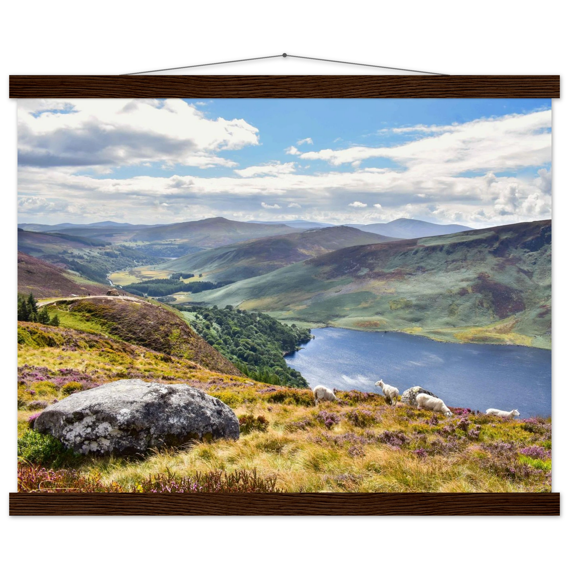 30eb2c47-5acd-4e04-9ff5-364d5e9f276f