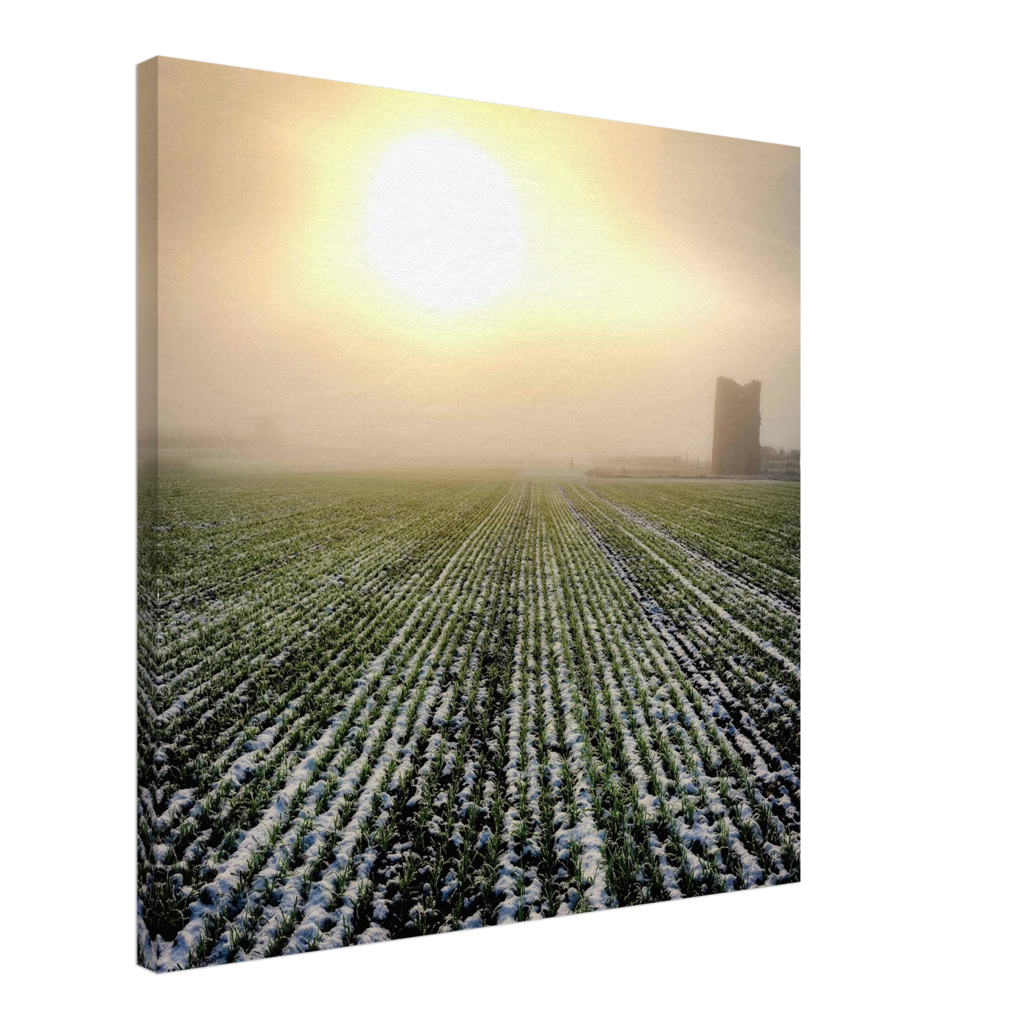 310536dc-be6f-4abb-bb06-18aa9c6fa8ae