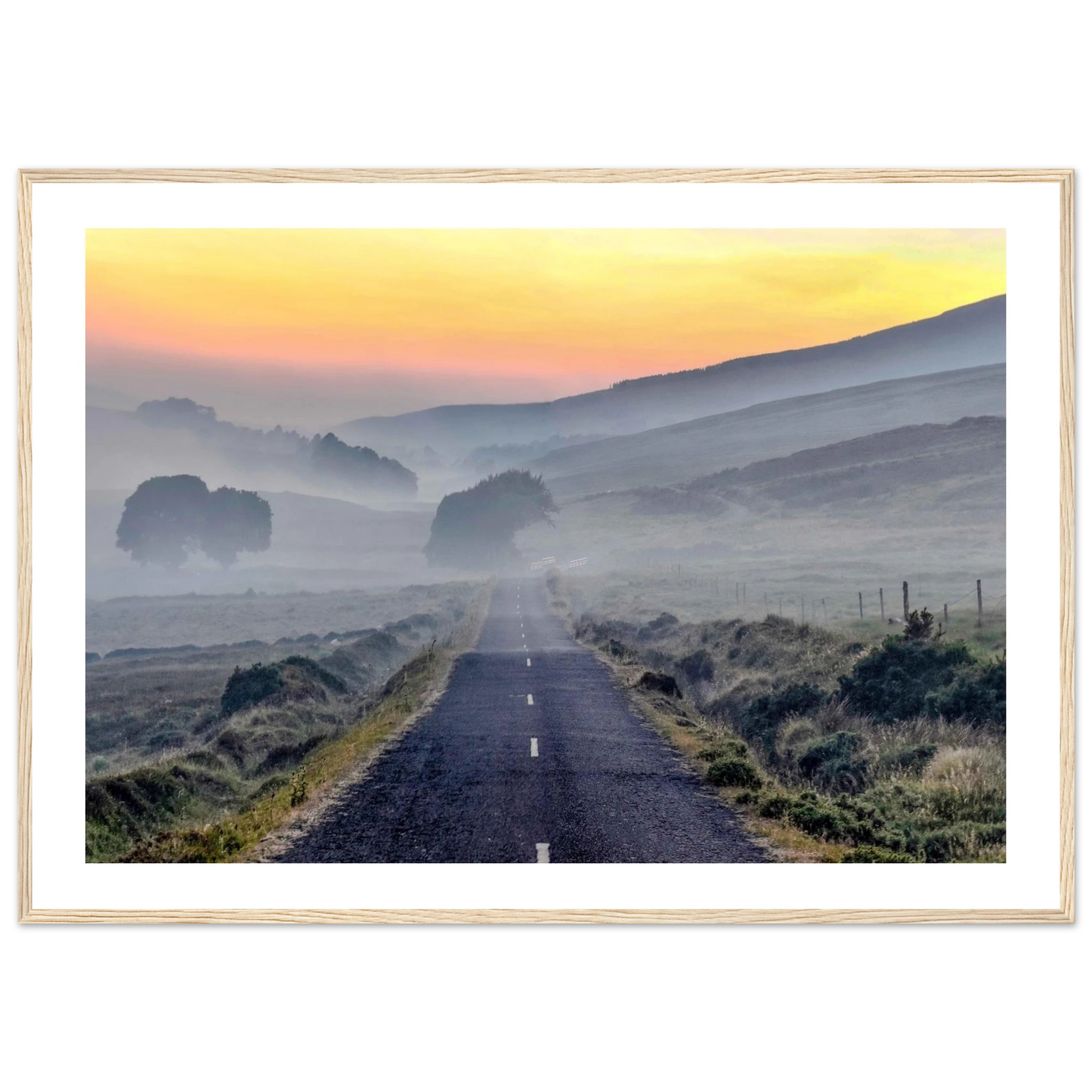 315d995f-a3d0-4e82-b3d4-0155e0d9aa4a