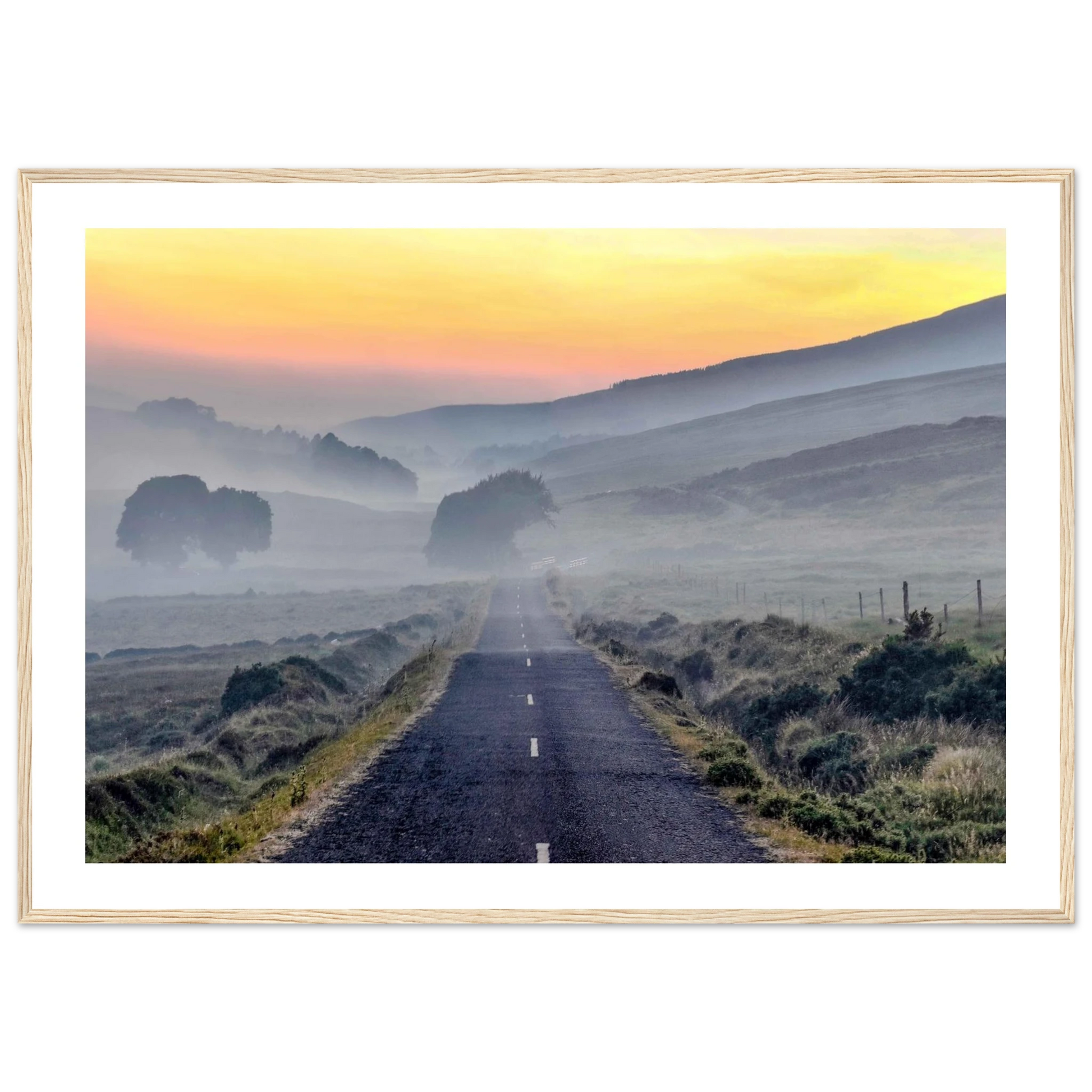 315d995f-a3d0-4e82-b3d4-0155e0d9aa4a