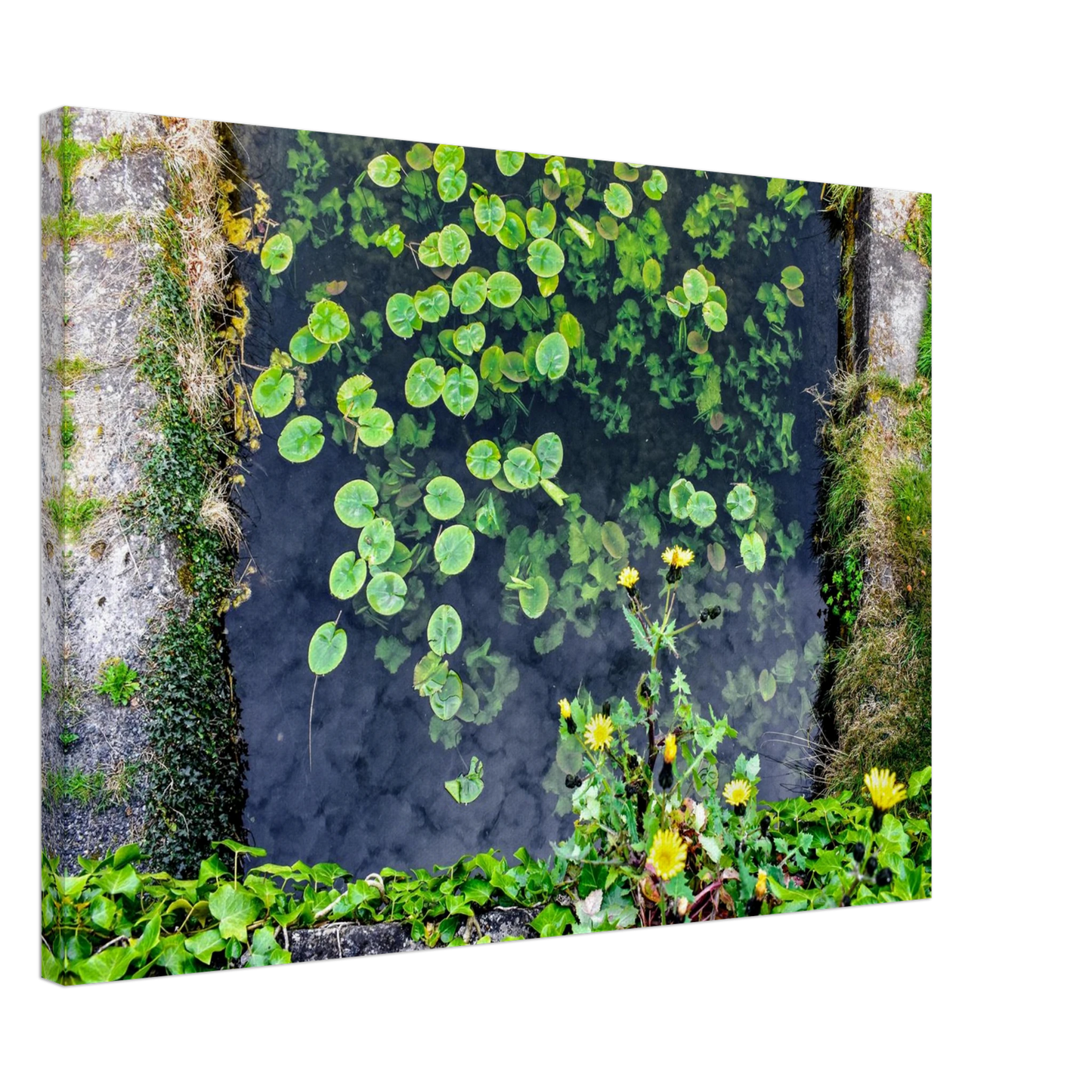 328f1b61-a306-43cb-9f00-fc66aab0252f