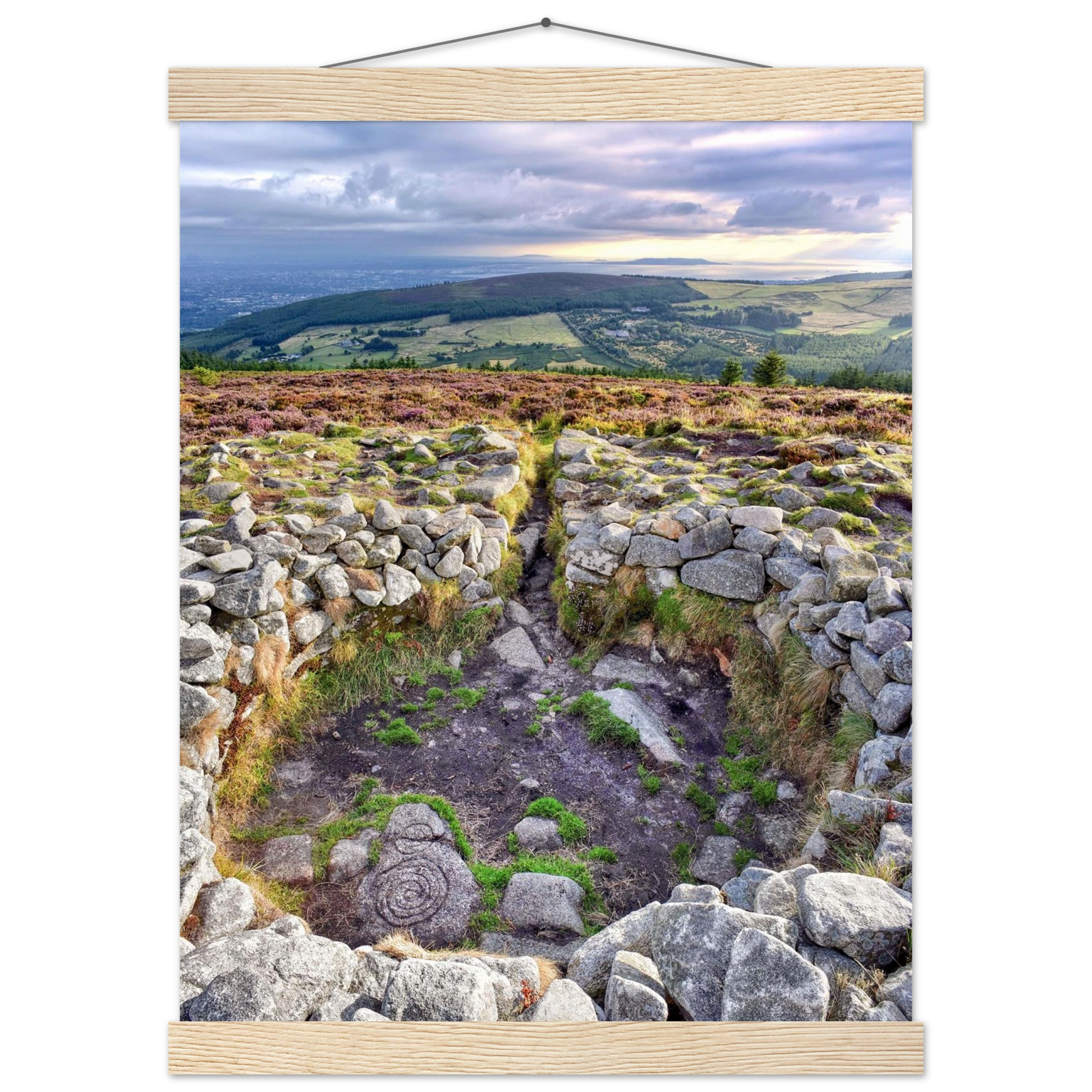 32bf9c5b-8db2-49de-a292-5b672ae51ffe