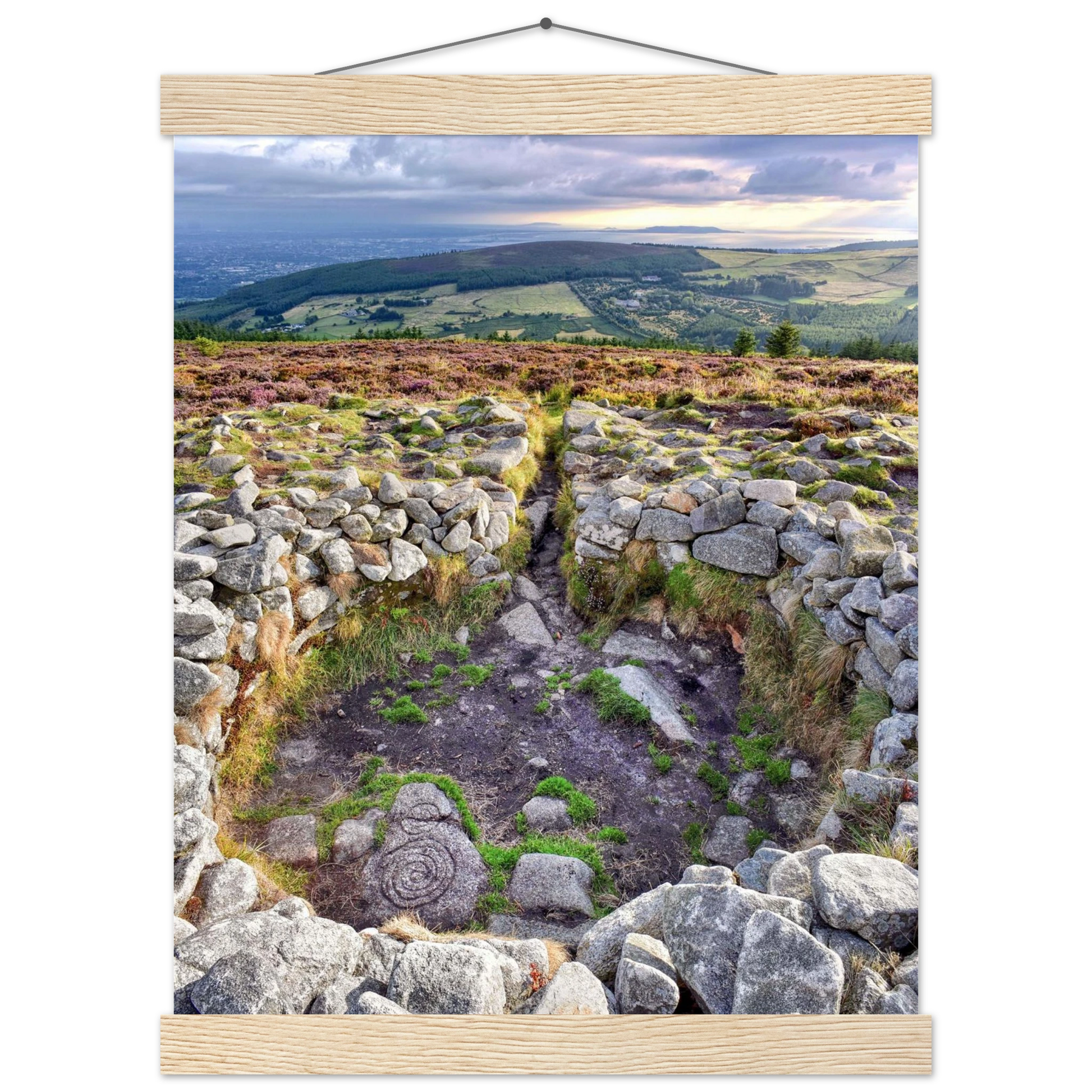 32c1b282-42be-483c-bee8-ff5c4c942ad0