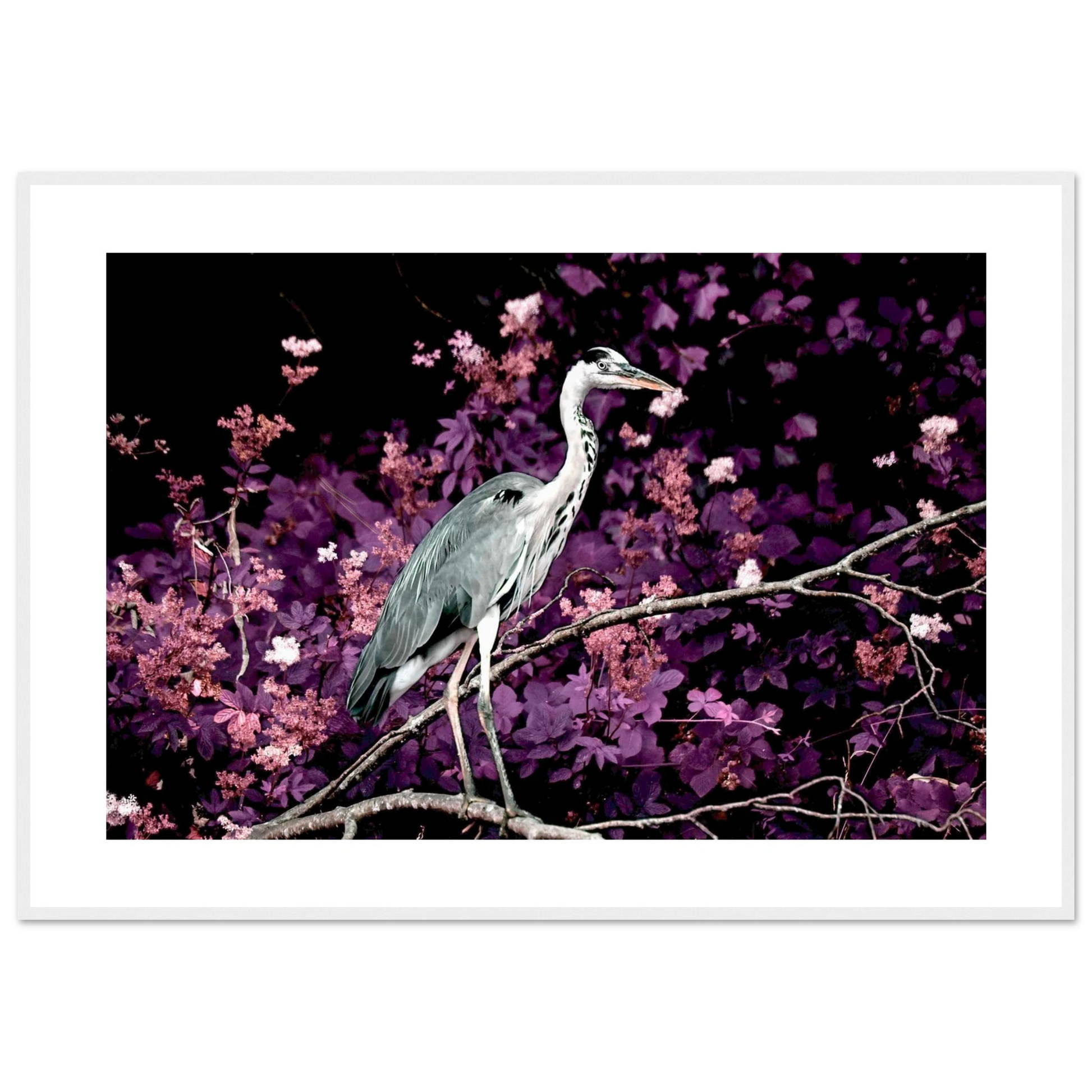 32ea47d6-614d-4f21-a28b-b2746521b241