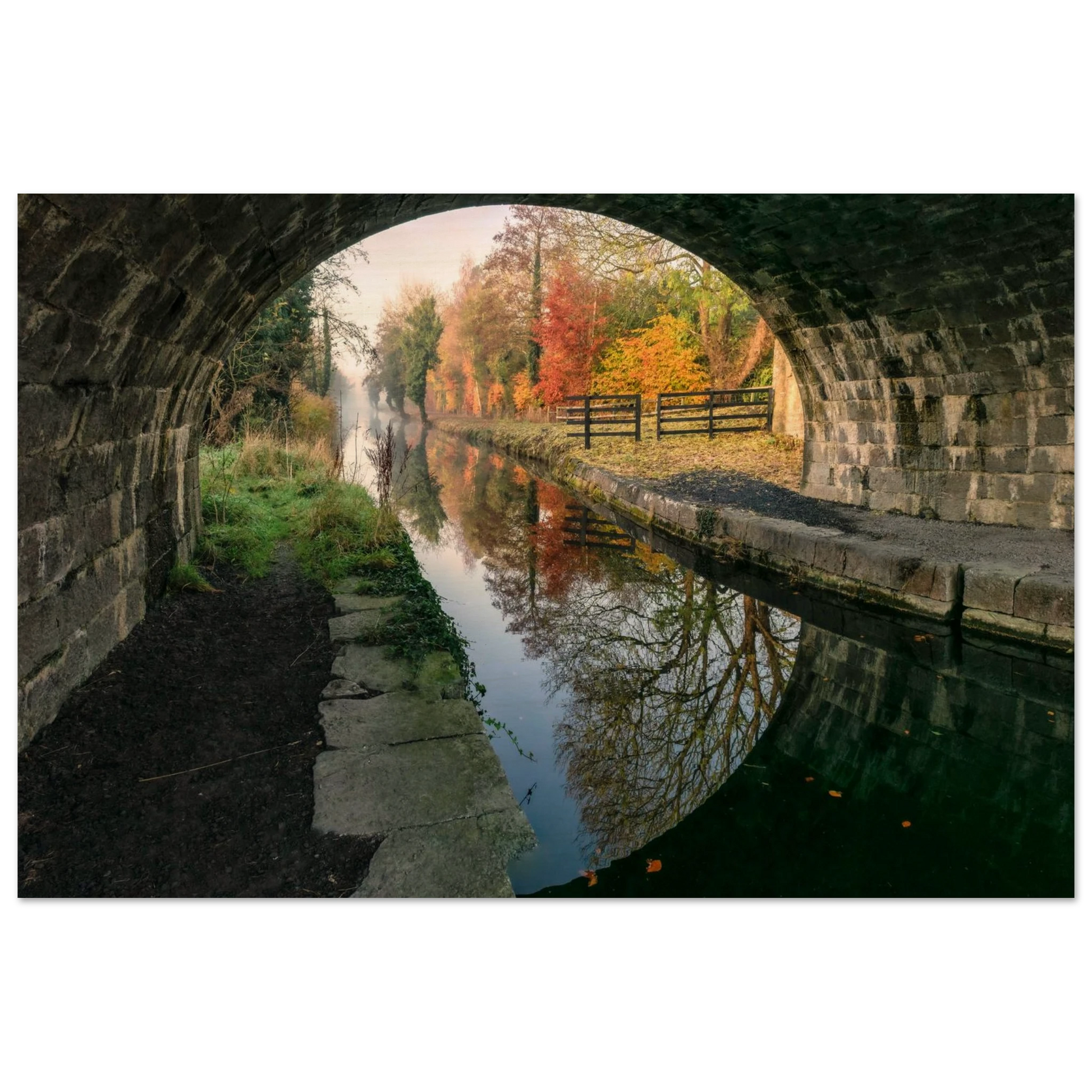 3309b1d6-19c5-4389-8190-0e339faa8165