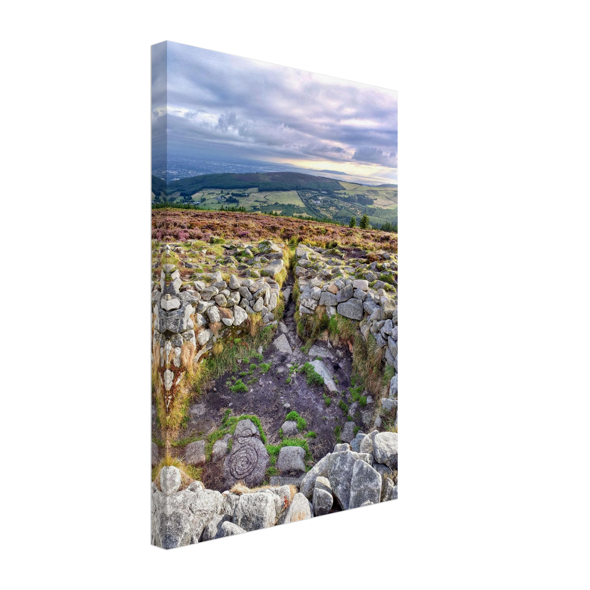 3314bdd7-24dc-4284-b725-9ca74f183555