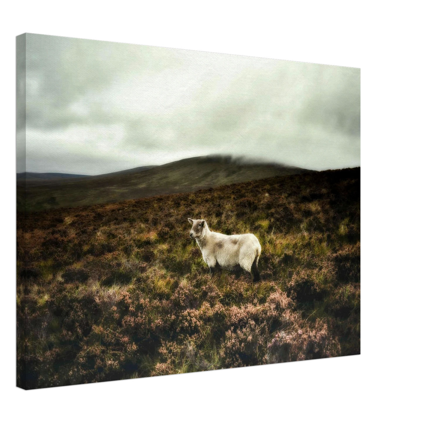 33311cea-9f00-402c-8919-b4706e42c06f