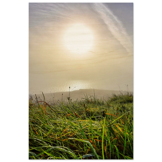 3337a5f1-23a5-481c-a21b-d838c76289d0