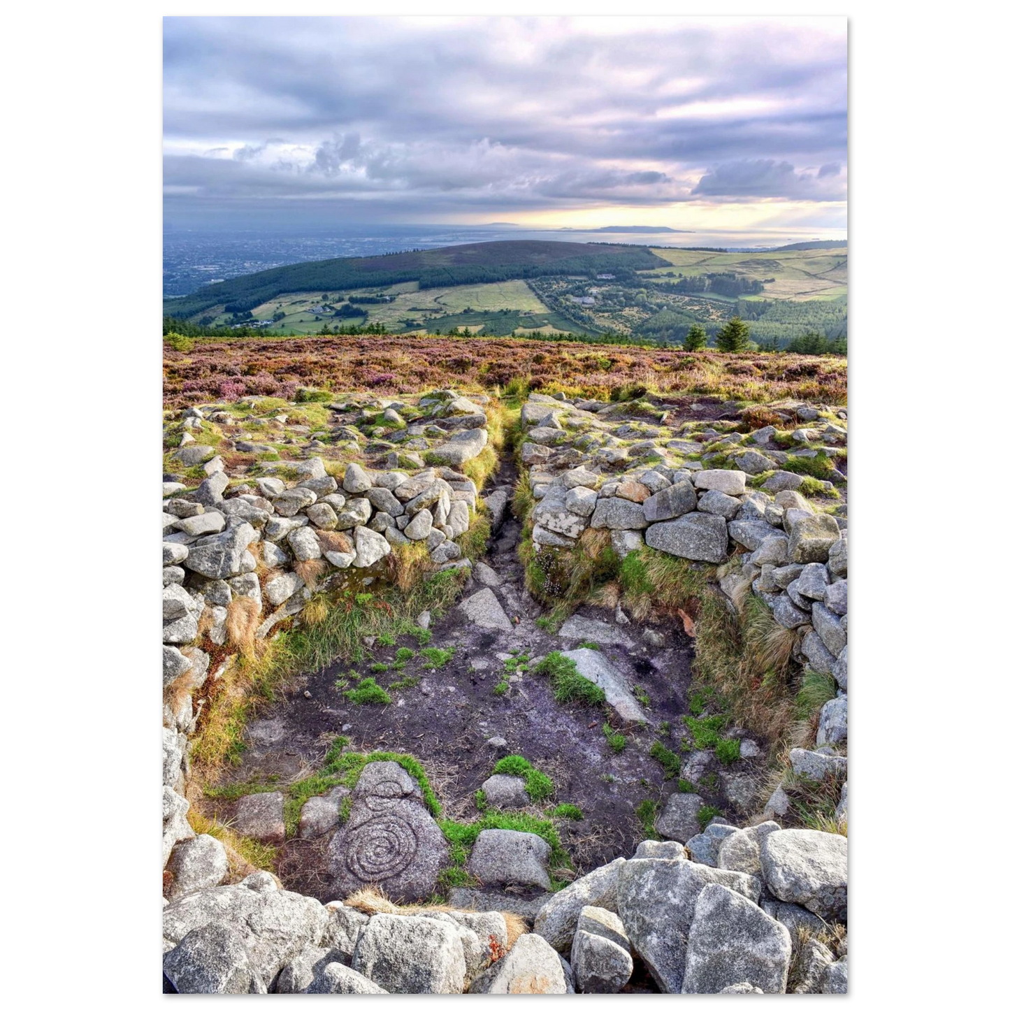 336dee21-2f9c-40a3-a0d6-113036395e5a