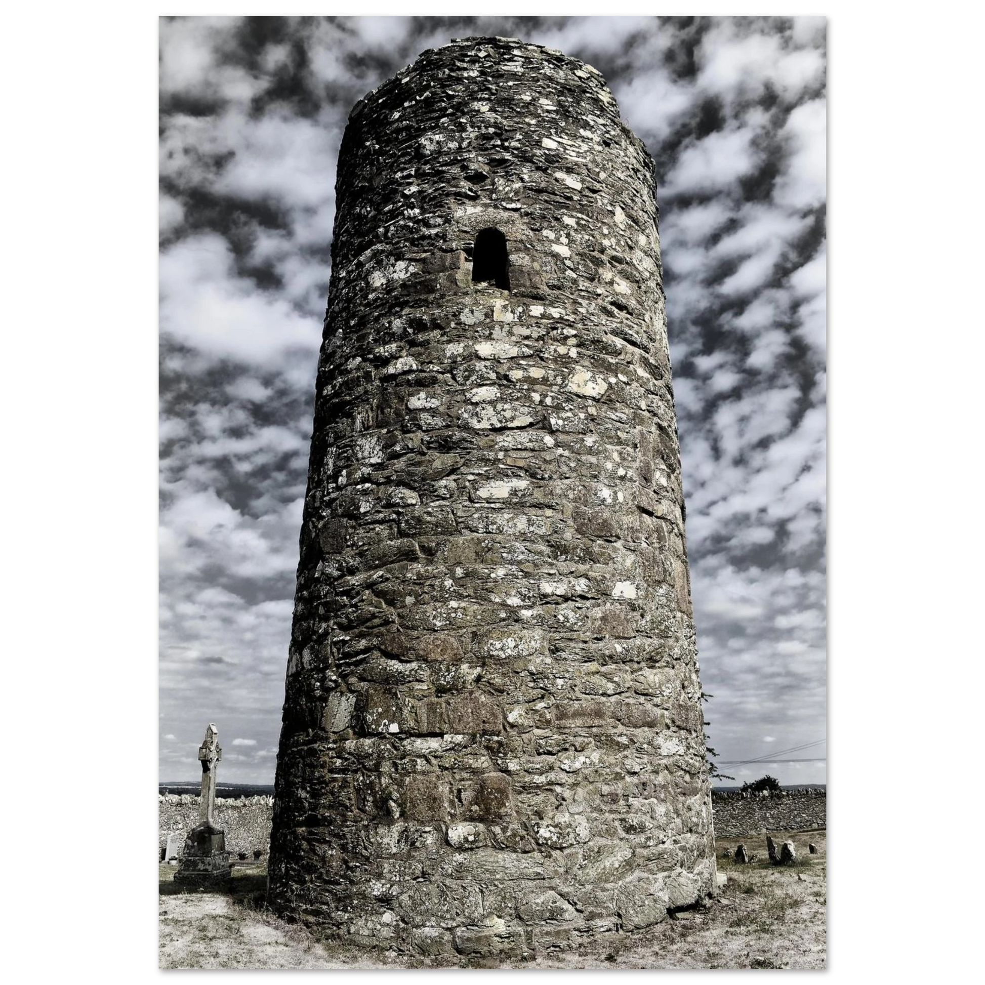 338c2285-251d-4286-ae0d-9b970021fe0f