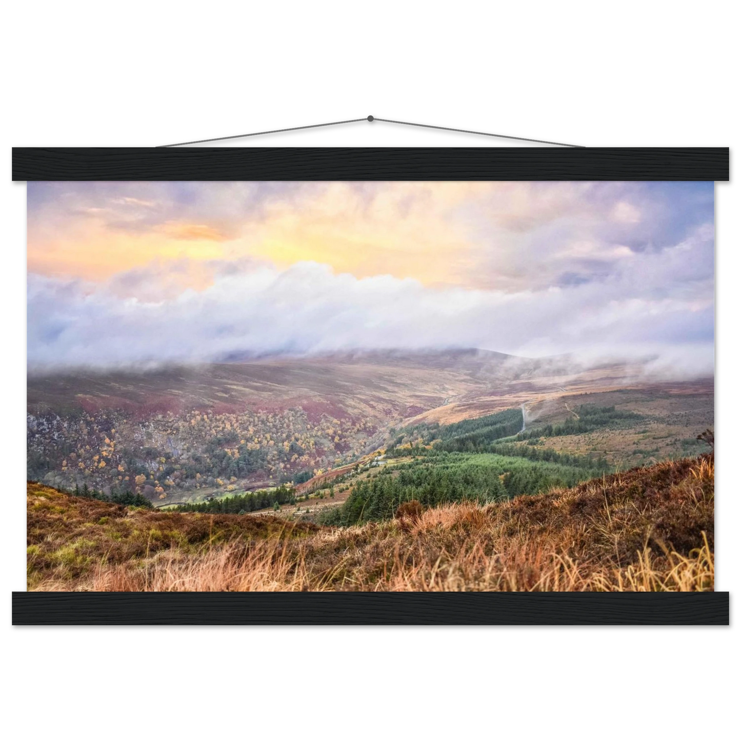 33bbca4b-4ff2-428f-902a-0d1849116abe