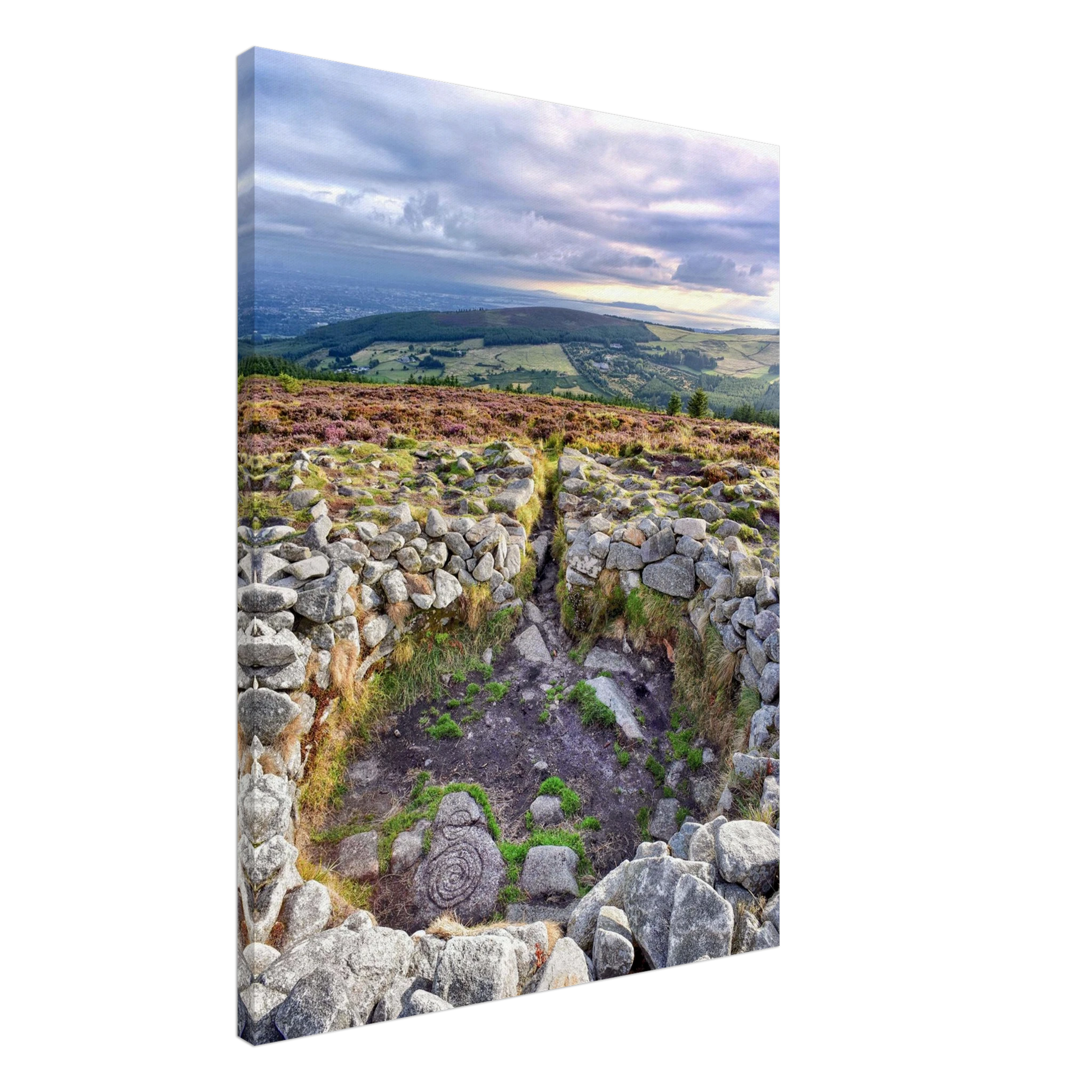 346632e1-ca1a-4af5-91ba-9e56cb7edf36