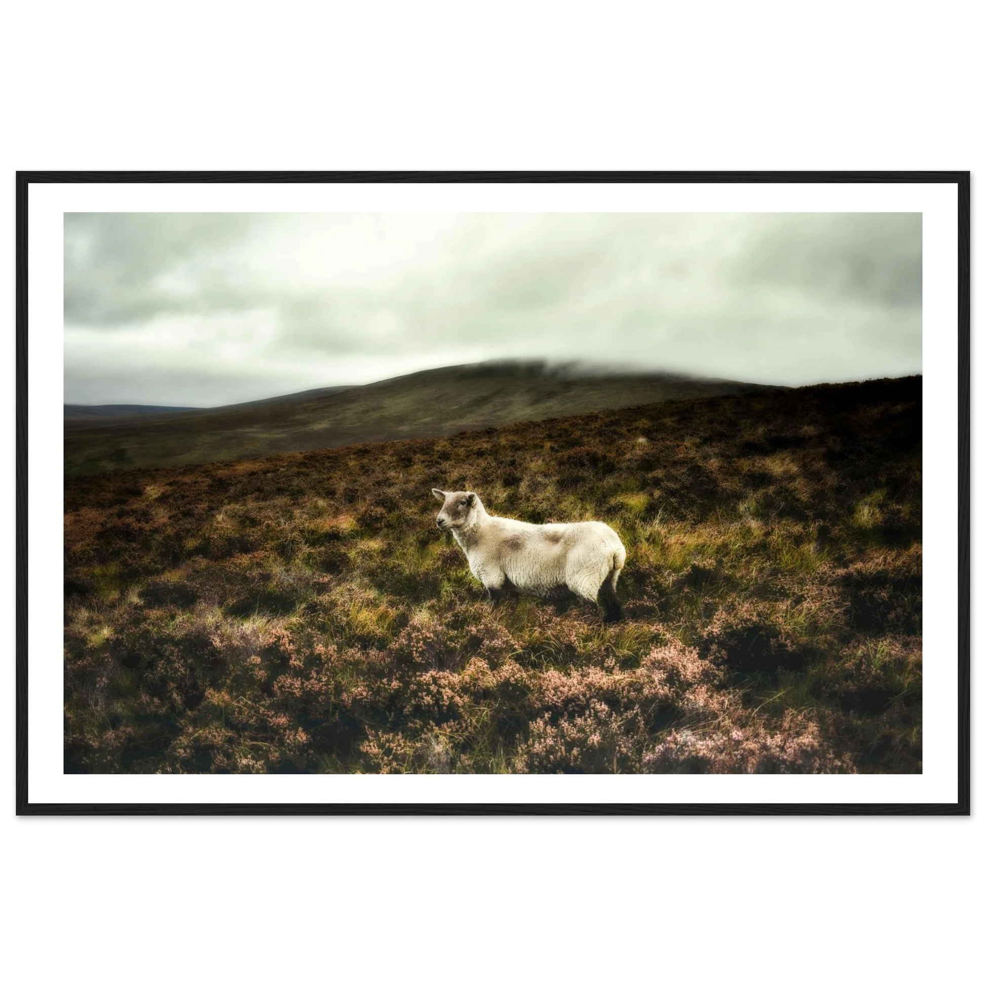 34a292d0-9c81-4b3b-827f-ecc33fd8be2e