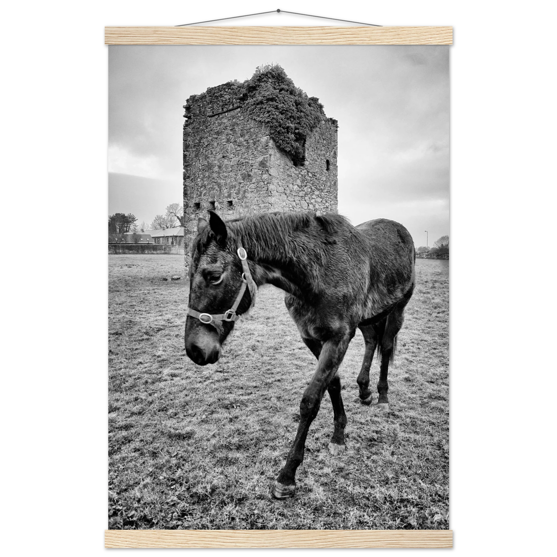 34daf66b-900b-451b-b43c-d171a1e5a5bc