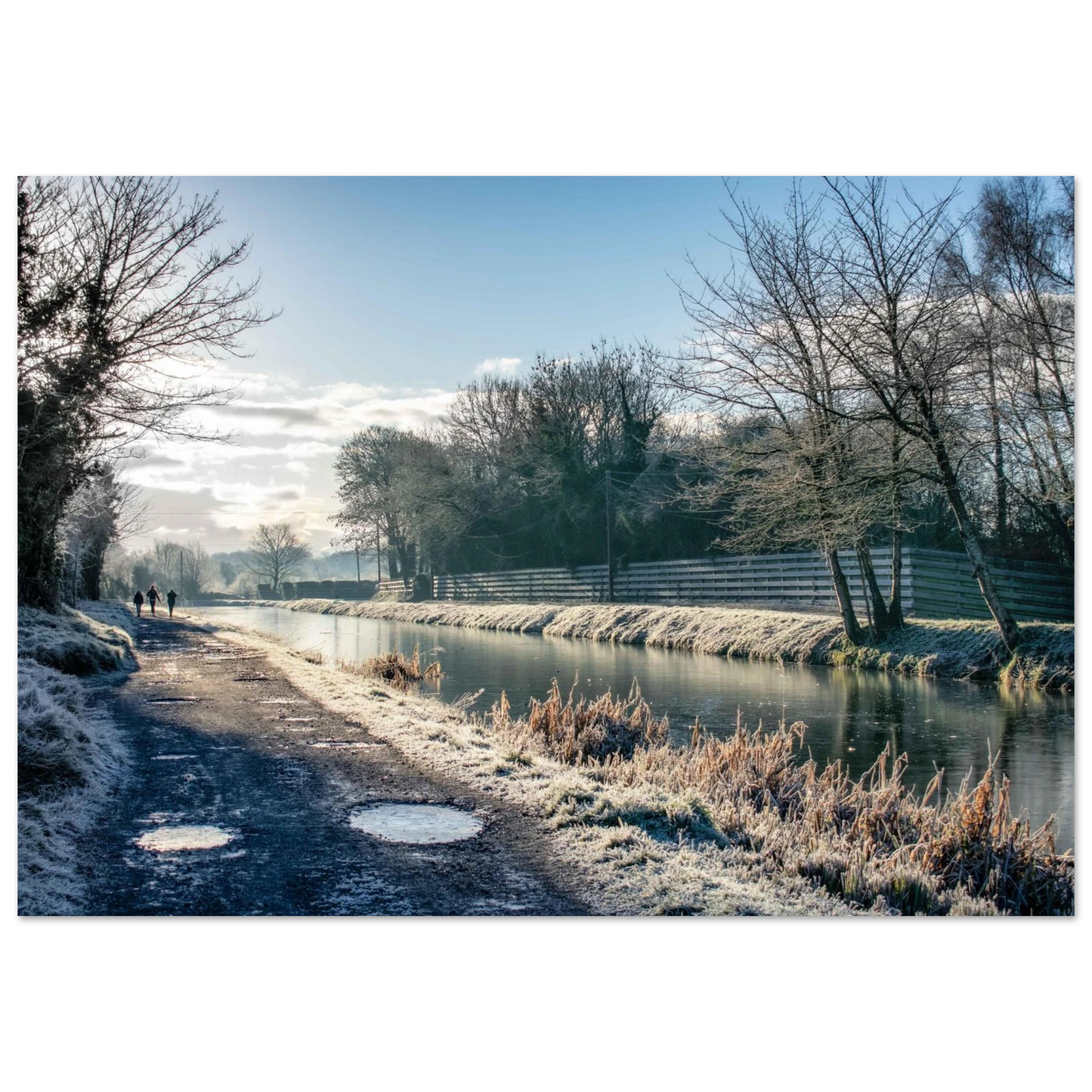 34e44d69-e543-45cd-9886-d2c3d60ce800