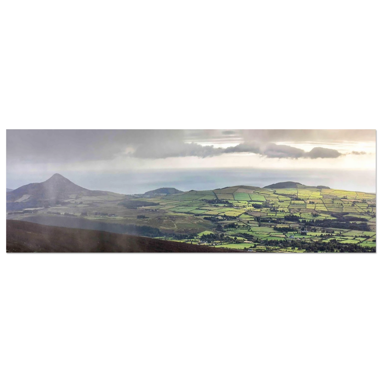 350571c6-41c4-495e-b948-292b11f4fb38