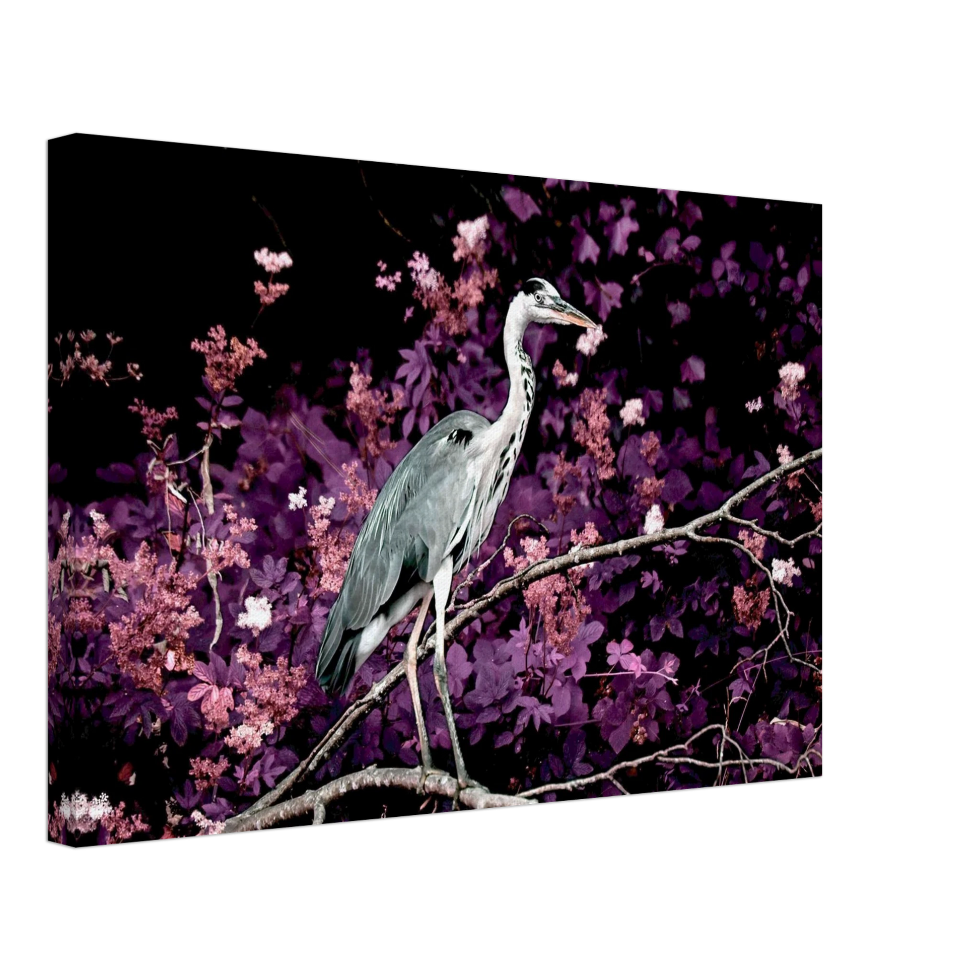 354a7248-7945-4147-a5ac-57bfceee20b3