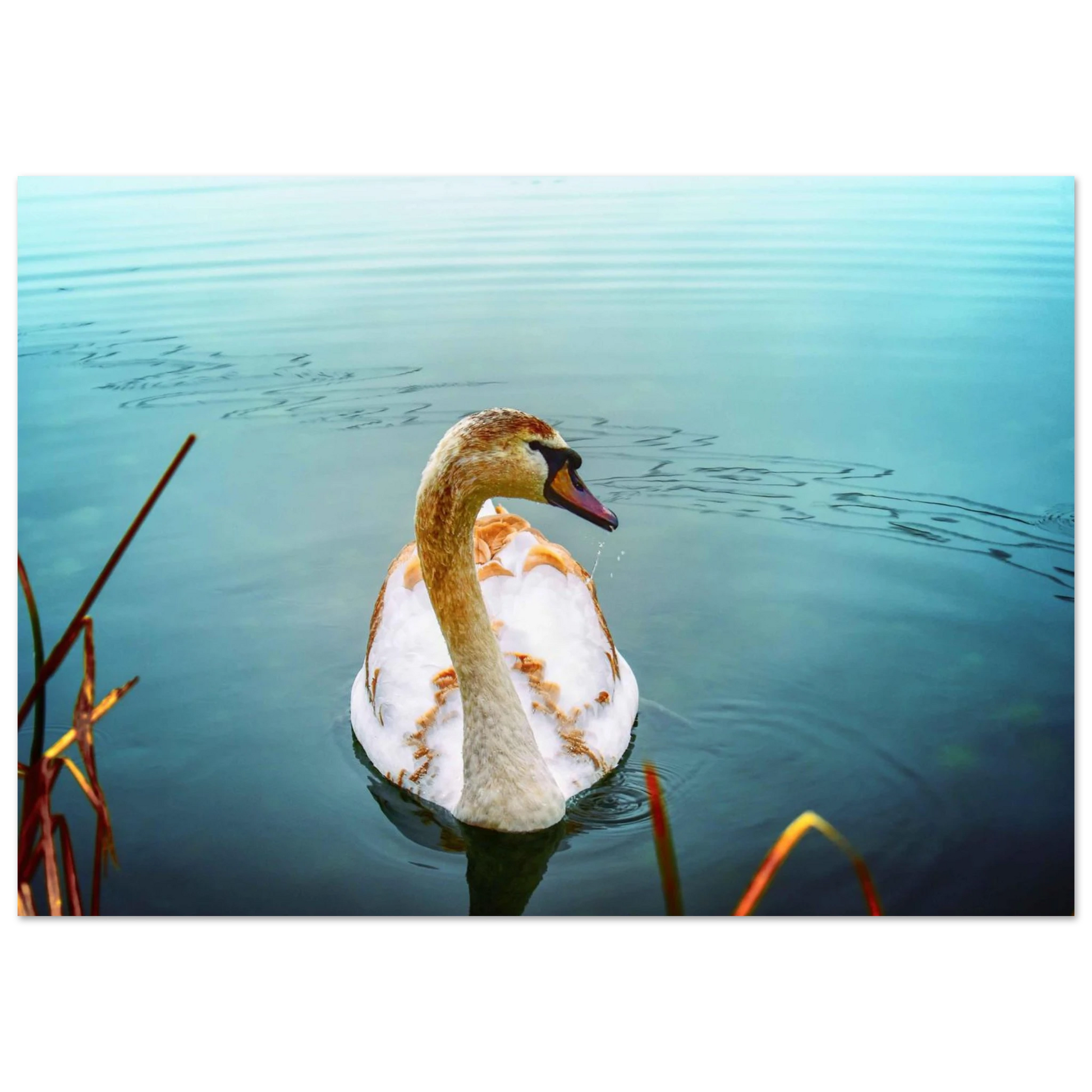 35b615cc-4d87-4caf-94b4-50728aa87da9