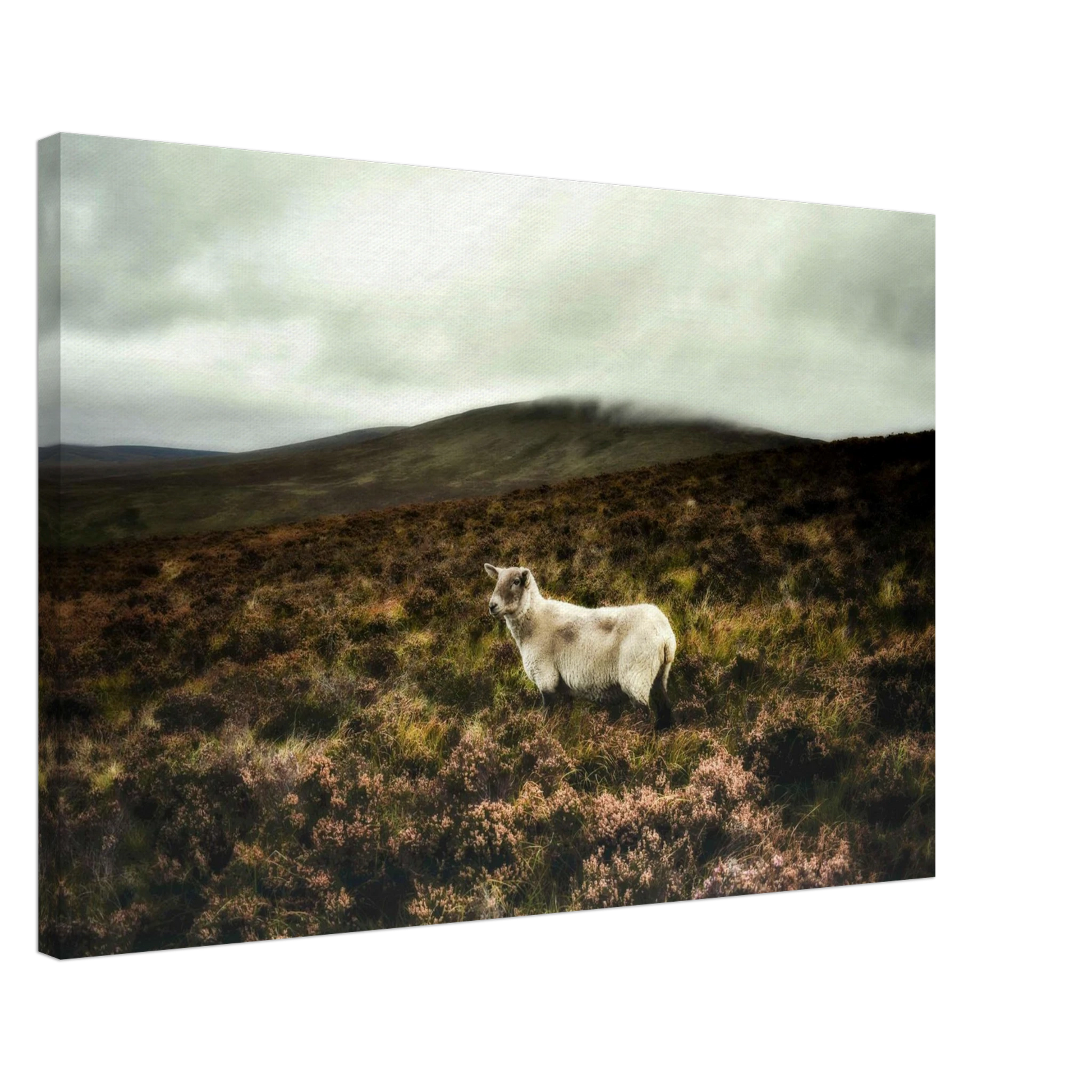 35b8cdc3-459e-4d94-ab21-4e70eb795a5c