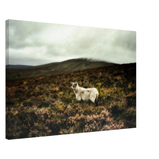 35b8cdc3-459e-4d94-ab21-4e70eb795a5c