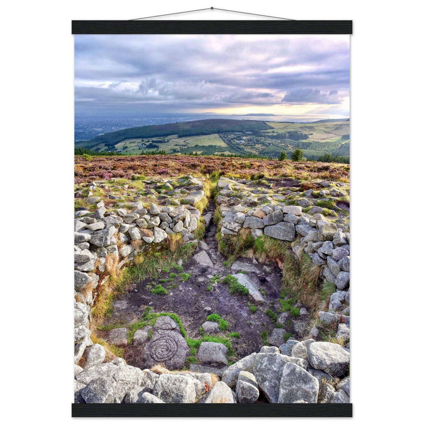 35f0c37f-53b2-4066-9369-3542ee2ff98c