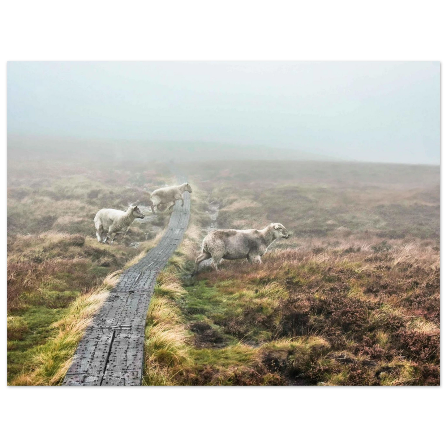 3615204e-4919-49d9-9f36-ac9d6cfb2922