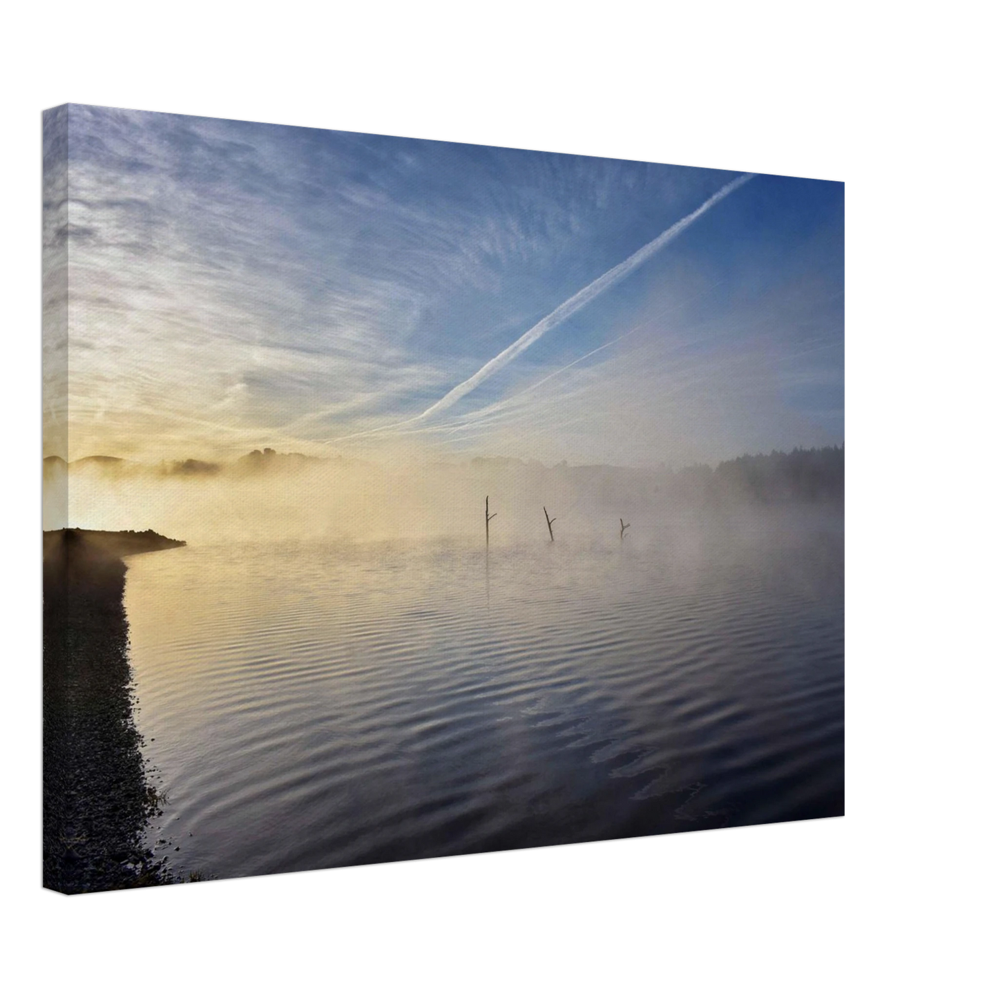 3787fa8b-e300-43a7-b5cd-9fae57888b56